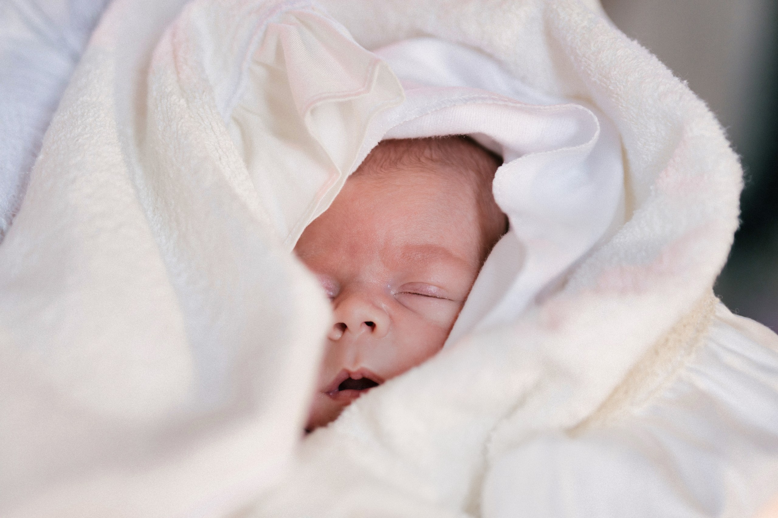 botez Luca Nectarie 22 februarie 2026 fotograf profesionist	•	fotograf botez Botoșani Luca Nectarie biserică	•	părinți Răzvan și Ramona botez copil emoții familie	•	nași Marin și Rodica botez copil fotografie profesională	•	detalii botez lumânare cristelniță biserică România	•	copil Luca Nectarie în brațe la botez moment emoționant	•	familie fericită la botez copil fotograf Alin Chirilă	•	fotografie botez naturală lumină caldă biserică	•	portret copil botez Luca Nectarie fotograf profesionist	•	momente autentice botez România familie și nași	•	slujbă botez copil imagini emoționante biserică	•	fotograf botez Iași și Botoșani Alin Chirilă - nunta--fotograf-profesionist-botosani  - fotografie-nunta-romantica - imagini-nunta-in-natura-alin-chirila-fotograf  - fotografii-cuplu-indragostit-nunta-botosani  - sedinta-foto-miri-andrei-iustina-alinofotostudio  - amintiri-din-nunta-realizate-de-fotograf-profesionist  - povestea-nuntii-andrei-si-iustina-in-imagini-alinofotostudio-fotograf evenimente- evenimente Botoșani -fotograf Suceava - fotograf Iași- servicii foto. servicii foto Botoșani. servicii foto video Botoșani. otograf-nunta-botosani-fotograf nunta. fotograf evenimente. fotograf nunta Botoșani. Alin chirila. Alin chirila fotograf. Alinofotostudio.- servicii foto. servicii foto Botoșani. servicii foto video Botoșani. fotograf nunta. fotograf evenimente. fotograf nunta Botoșani. Alin chirila. Alin chirila fotograf. Alinofotostudio.fotograf stare civilă,poze stare civilă,album foto stare civilă,servicii foto suceava,fotograf evenimente suceava,fotograf nuntă suceava,poze cununie civilă,ședință foto stare civilă,sesiune foto suceava,fotograf profesionist suceava,fotograf botosani,stare civila botosani,alinofotostudio,alin chirila fotograf.servicii foto. servicii foto Botoșani. servicii foto video Botoșani. fotograf nunta. fotograf evenimente. fotograf nunta Botoșani. Alin chirila. Alin chirila fotograf. Alinofotostudio.fotograf stare civilă,poze stare civilă,album foto stare civilă,servicii foto suceava,fotograf evenimente suceava,fotograf nuntă suceava,poze cununie civilă,ședință foto stare civilă,sesiune foto suceava,fotograf profesionist suceava,fotograf botosani,stare civila povestitor prin fotografiebotosani,alinofotostudio,alin chirila fotograf,servicii foto. servicii foto Botoșani. servicii foto video Botoșani. fotograf nunta. fotograf evenimente. fotograf nunta Botoșani. Alin chirila. Alin chirila fotograf. Alinofotostudio.fotograf stare civilă,poze stare civilă,album foto stare civilă,servicii foto suceava,fotograf evenimente suceava,fotograf nuntă suceava,poze cununie civilă,ședință foto stare civilă,sesiune foto suceava,fotograf profesionist suceava,fotograf botosani,stare civila botosani,alinofotostudio,alin chirila fotograf,cununie religioasă botoșani,andreea și neculai,capela militară botoșani,foto conacul zăicești,fotograf nuntă botoșani,fotograf cununie religioasă,foto evenimente botoșani,poze cununie capela militară,ședință foto zăicești,fotograf profesionist botoșaniMire și mireasă – Sergiu & Liliana – ziua nunții, 2024  - Emoții în ziua nunții – Sergiu și Liliana  - Dansul mirilor – fotografie artistică nuntă 2024  - Sedinta foto romantică în natură – Sergiu & Liliana  - Rochia de mireasă și detalii de nuntă elegan-Album de cununie civilă Florin și Anda – Fotografii profesionale realizate de Alin Chirilă în Botoșani -fotograf prin fotografie-Ședință foto Trash the Dress pe muntele Rarău cu Iulian și Iuliana – fotografie de cuplu, natură montană, emoție autentică surprinsă de Alin Chirilă, povestitor prin fotografie.- "Iulian și Iuliana pe crestele Rarăului – fotografie Trash the Dress în natură"  - "Cuplu îmbrățișat la apus pe muntele Rarău – ședință foto după nuntă"  - "Rochie de mireasă în vânt pe munte – Trash the Dress Rarău-1. Iulian și Iuliana pe muntele Rarău – ședință foto Trash the Dress în natură, cu peisaj montan spectaculos  2. Cuplu în îmbrățișare pe Rarău – emoție autentică surprinsă după nuntă  3. Rochie de mireasă în bătaia vântului – fotografie artistică Trash the Dress în munți  4. Mire și mireasă privind spre orizont – dragoste și libertate pe muntele Rarău  5. Iuliana zâmbind în rochia de mireasă – portret în natură, Trash the Dress  6. Iulian ținându-și mireasa de mână – ședință foto romantică pe munte  7. Detaliu cu rochia pe stâncă – estetică naturală Trash the Dress Rarău  8. Cuplu în mers pe poteca Rarăului – fotografie simbolică de după nuntă  9. Apus de soare pe Rarău în spatele mirilor – imagine de poveste Trash the Dress  10. Iulian și Iuliana râzând împreună – momente autentice surprinse de Alin Chirilă, povestitor prin fotografie-fotograf-nunta-cerbu-botosan trash-the-dress-botosani Alin Chirilă Fotograf – fotograf de nuntă Botoșani-fotograf nuntă Botoșani-fotograf nuntă Cerbu Botoșani-fotograf profesionist nuntă Botoșani-fotografie de nuntă Botoșani-fotograf evenimente Botoșani-fotograf nuntă Moldova-fotograf trash the dress Botoșani	- fotograf pregătirea mirilor Botoșani	-fotograf ceremonie religioasă nuntă-fotograf petrecere nuntă Botoșani- fotograf nuntă Botoșani pregătirea mirelui- pregătirea mirelui fotografie nuntă Cerbu Botoșani-fotograf nuntă Botoșani pregătirea miresei -mireasă pregătiri nuntă Cerbu Botoșani-fotograf nuntă Botoșani nașii mirilor-ceremonie religioasă nuntă Cerbu Botoșani-fotograf nuntă Botoșani ceremonie religioasă biserică-petrecere nuntă Cerbu Botoșani invitați dans-fotograf nuntă Botoșani petrecere restaurant-ședință foto trash the dress-fotograf trash the dress Botoșani ședință foto după nuntă-Fotograf nuntă Botoșani – galerie foto reală de la evenimente stare civilă Sebi și Claudia Copălău	•	cununie civilă Primăria Copălău Botoșani	•	miri emoționați la starea civilă	•	semnarea actelor cununie civilă	•	fotografii naturale stare civilă Botoșani	•	familie și prieteni la cununie civilă	•	cadre emoționale cununie civilă	•	fotograf profesionist Botoșani eveniment stare civilă Sebi și Claudia la Primăria Copălău Botoșani fotograf evenimente	•	fotograf cununie civilă Copălău Botoșani cadre naturale și emoționale	•	fotograf profesionist Botoșani stare civilă Sebi și Claudia	•	momente autentice cununie civilă Copălău fotograf Alin Chirilă	•	fotografii emoționale stare civilă în județul Botoșani