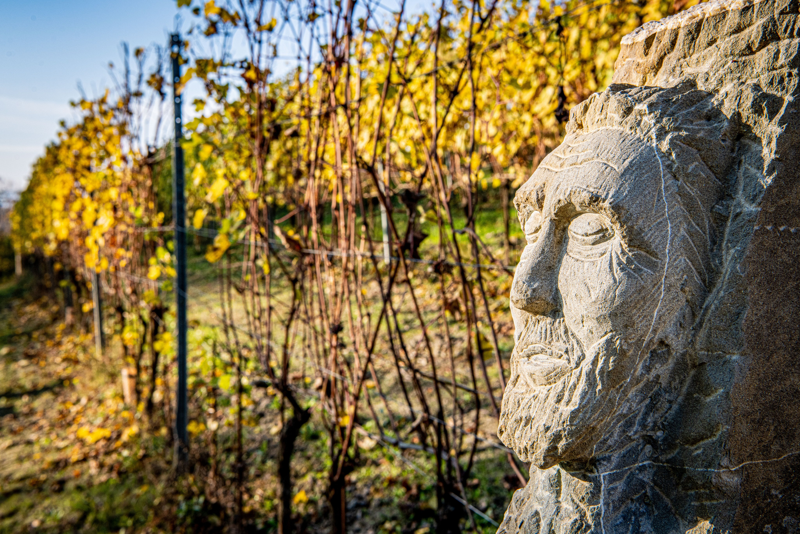 Langhe. “Gianmaria Coscia fotografo per passione”