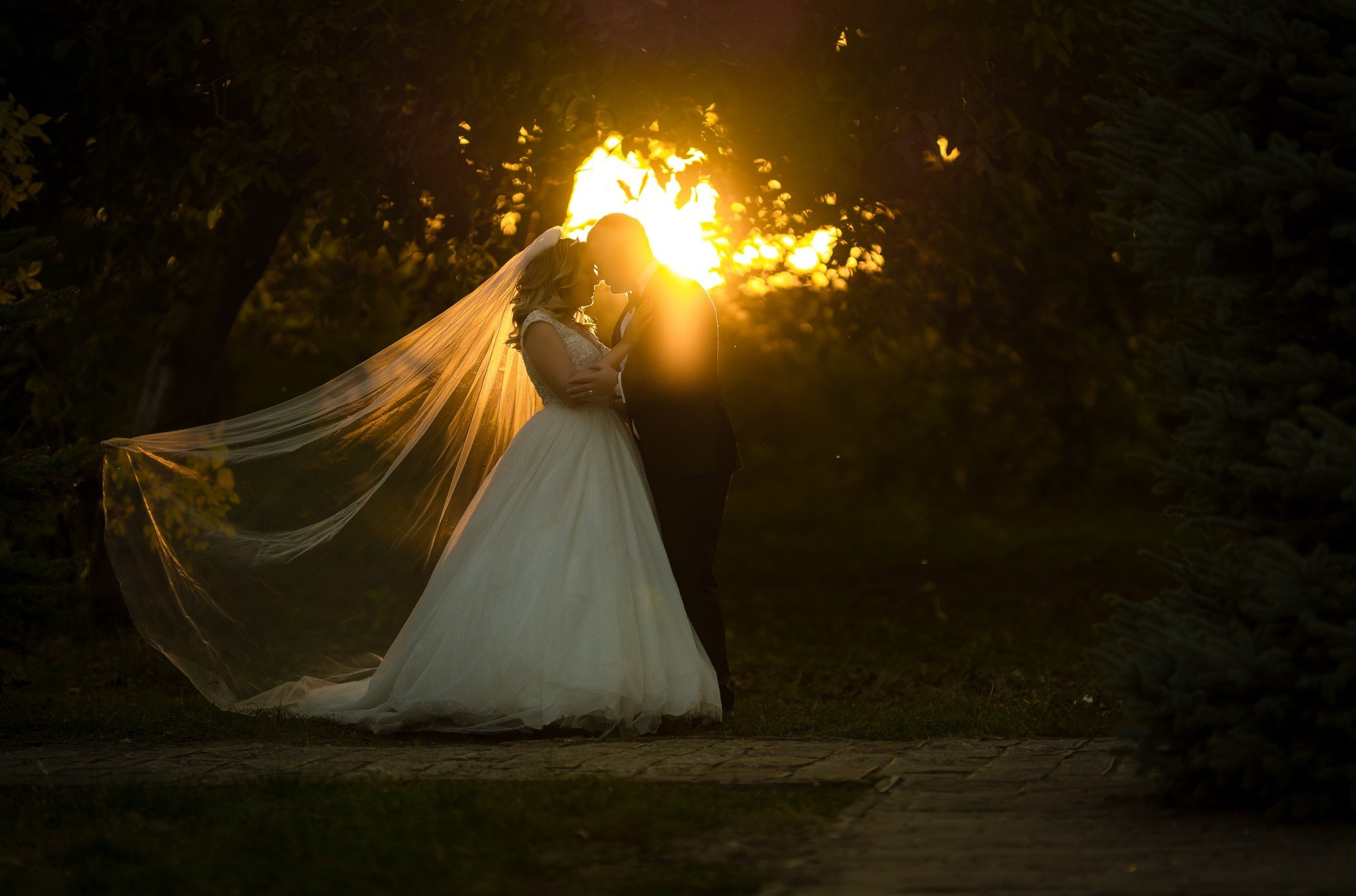 Corporate. Marius Doban