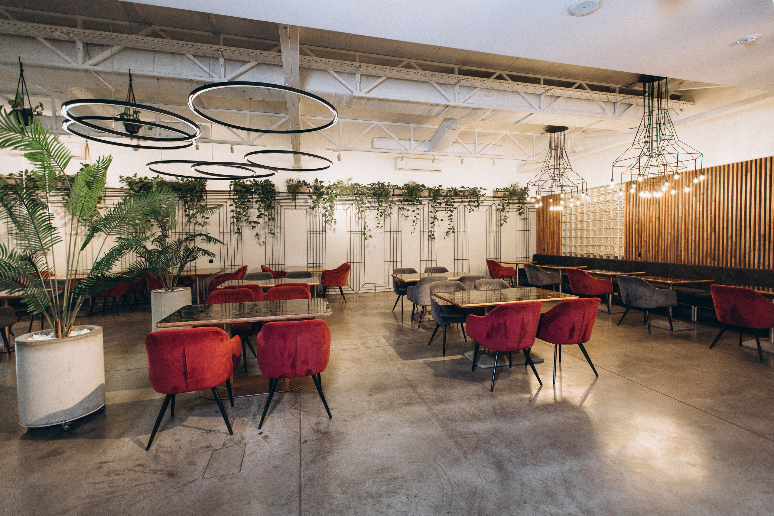 Мережа ресторанів Classic. Ірина Терещук