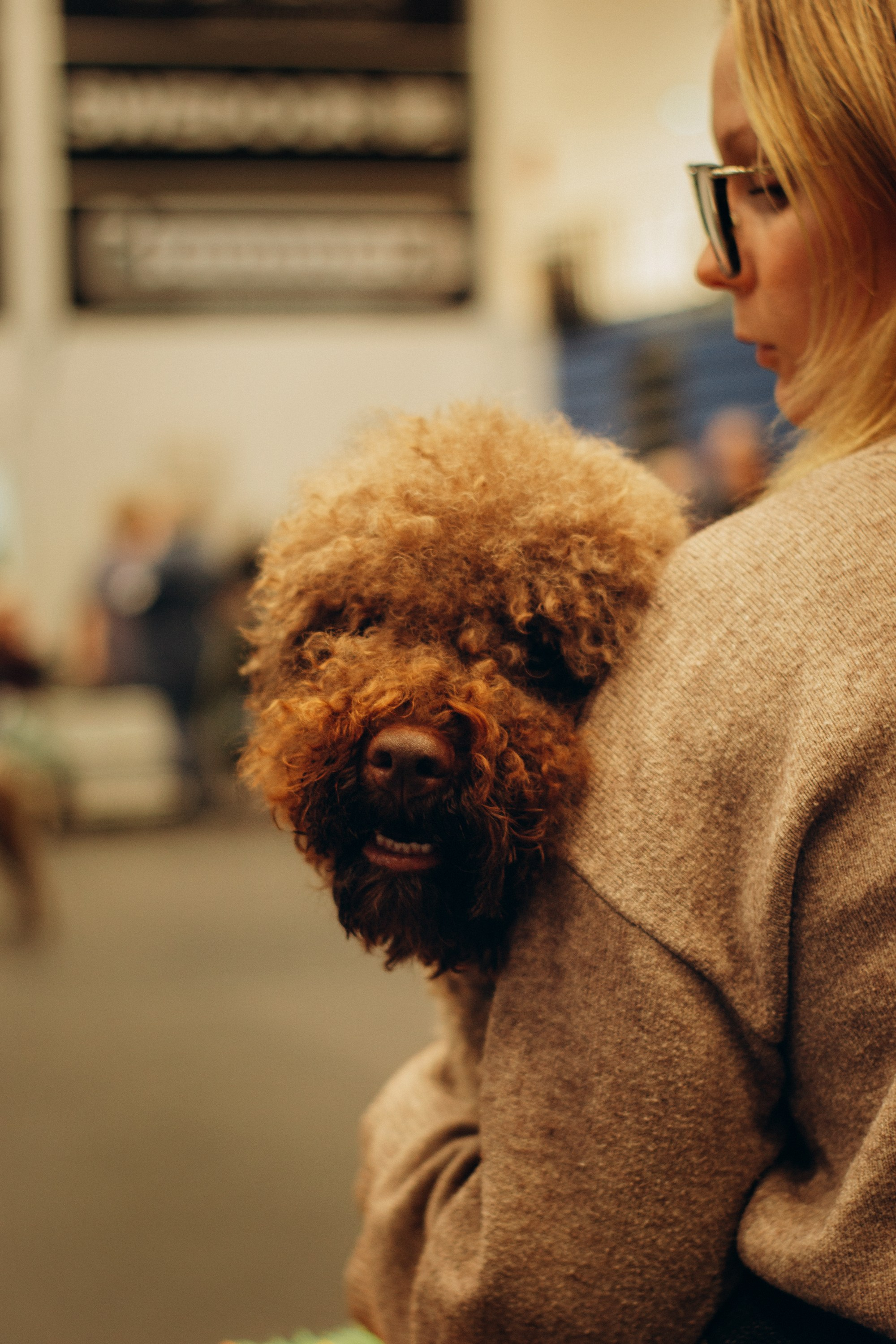 Rakvere Dog Show. Kat Laisaar — Pet photographer in Tallinn