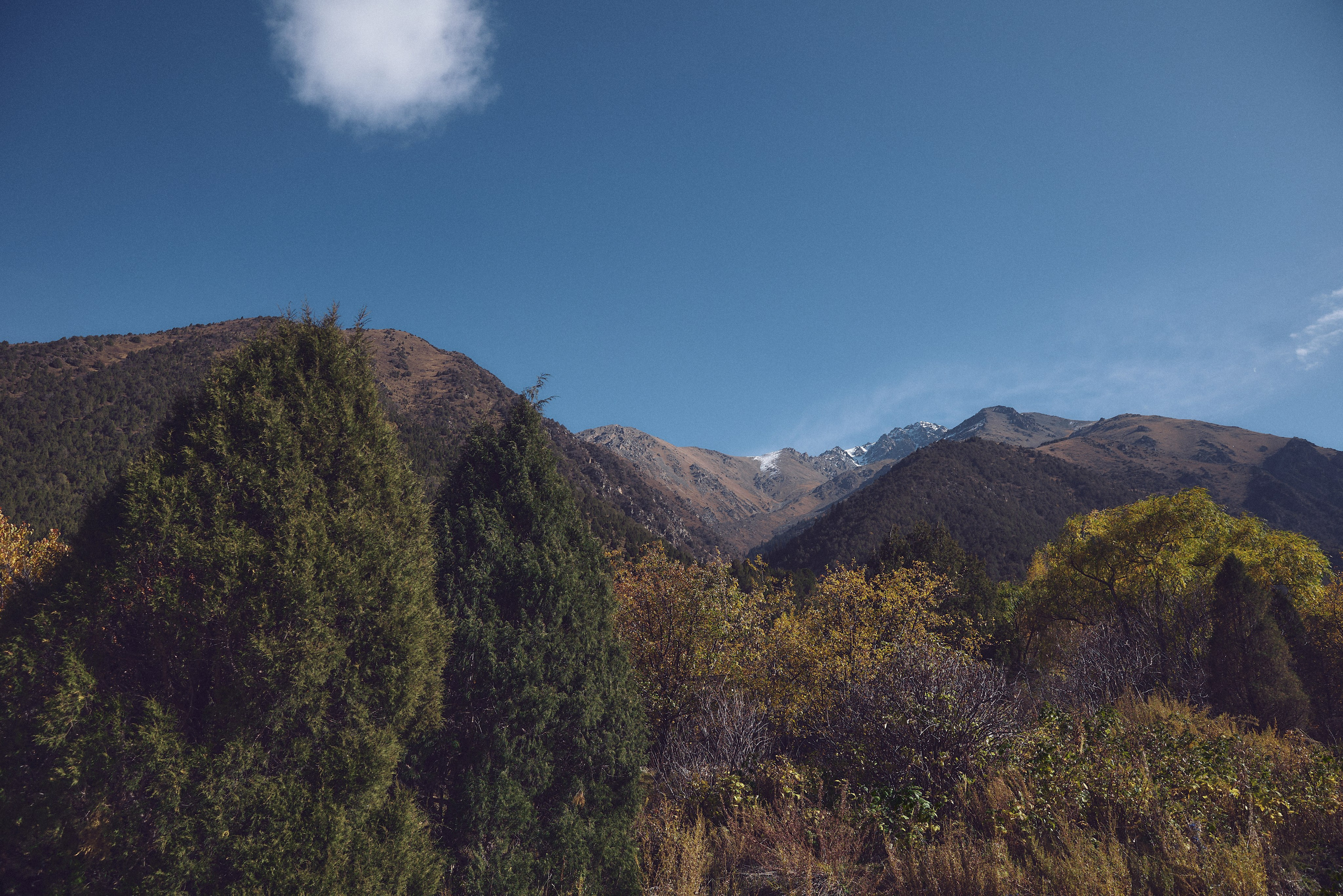Осеняя прогулка. Валерия Вартанова. Фотограф