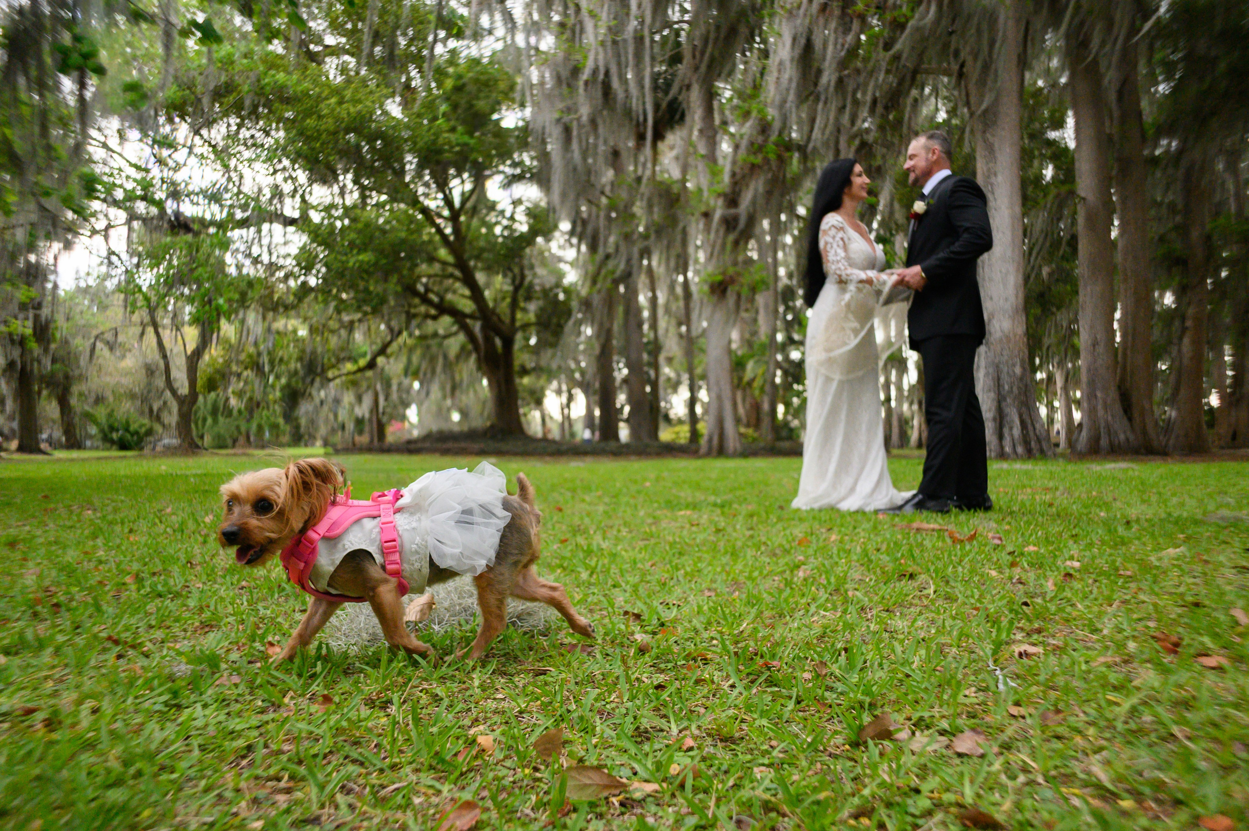Y + C. Wedding photographer in Orlando, Boston & New York Anderson Marques