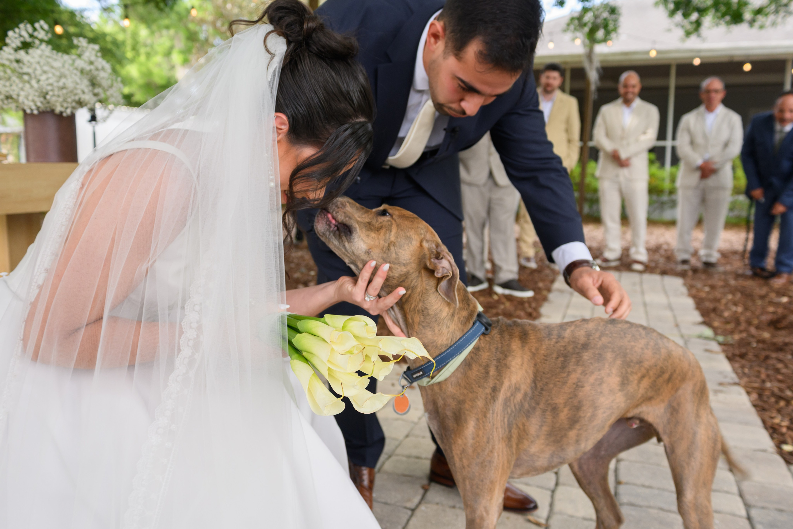 G + F. Wedding photographer in Orlando, Boston & New York Anderson Marques