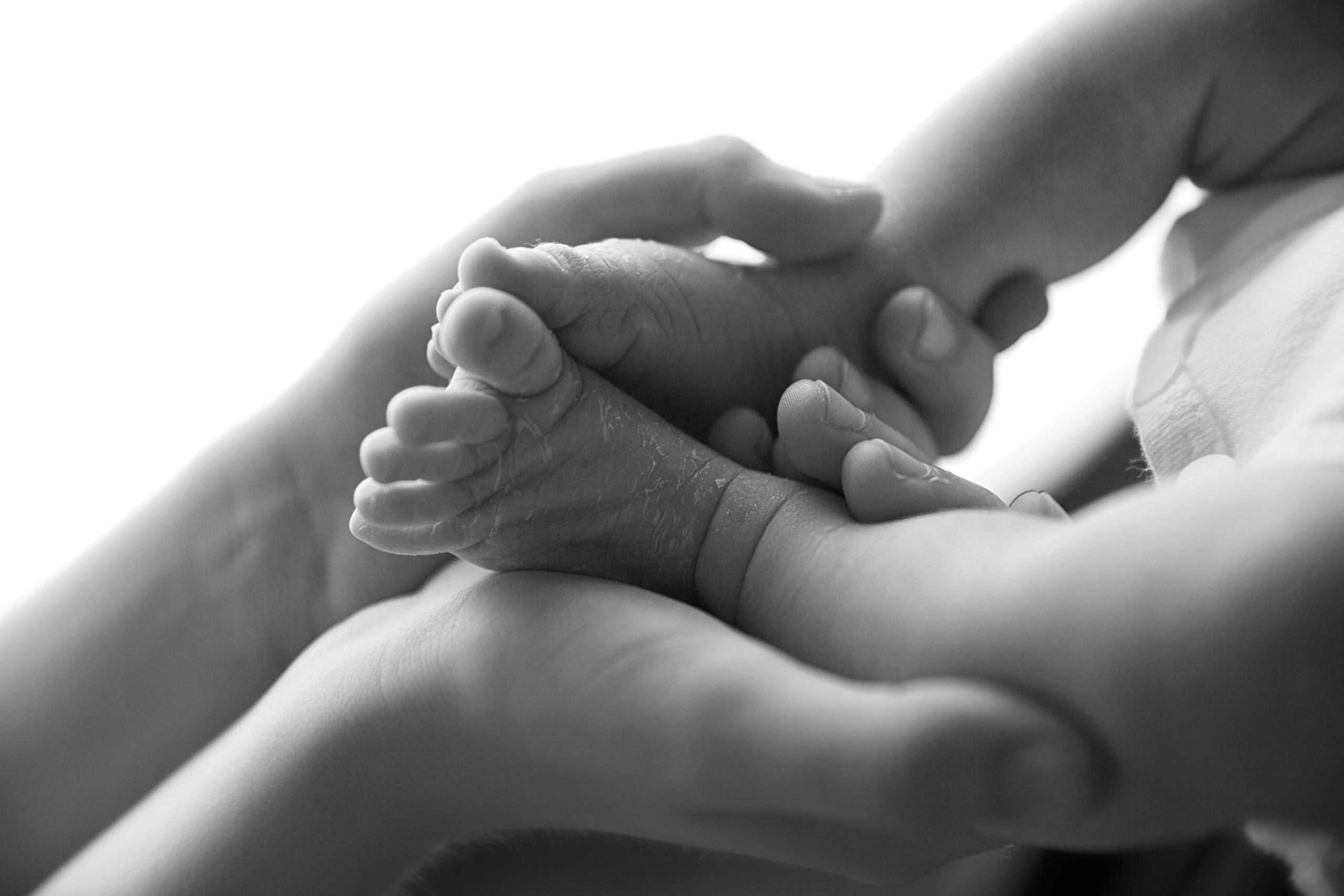 ACCES CLIENTS / BLOG. Photographe professionelle spécialisée dans la photographie de grosses