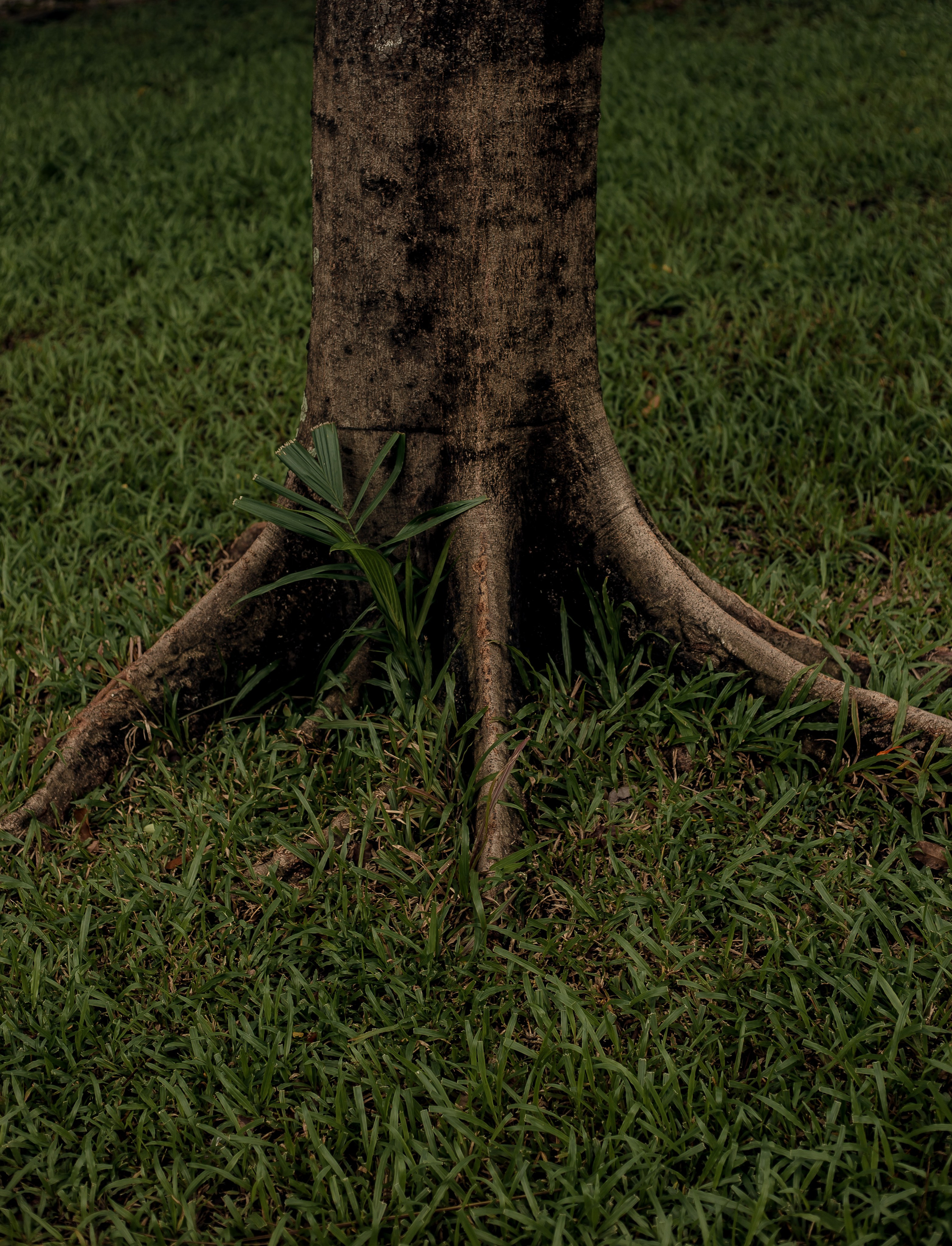 Ho Chi Minh, Vietnam | Part 1| 2025. HOME