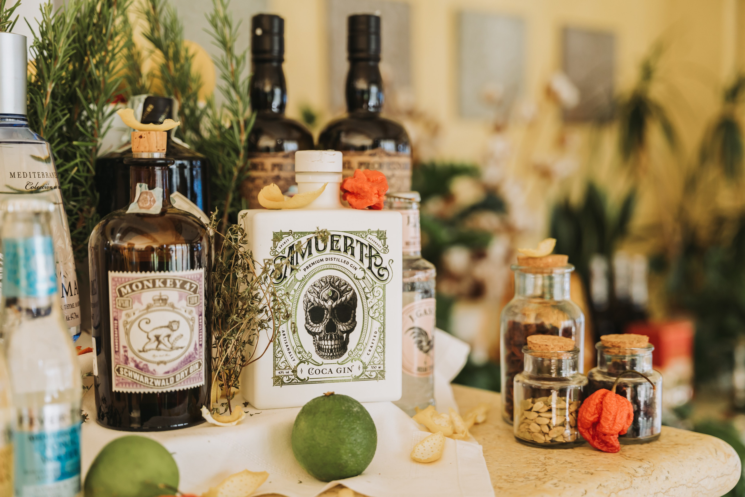 Hotel spiaggia d’oro - Lago di Garda. Fotografia e video