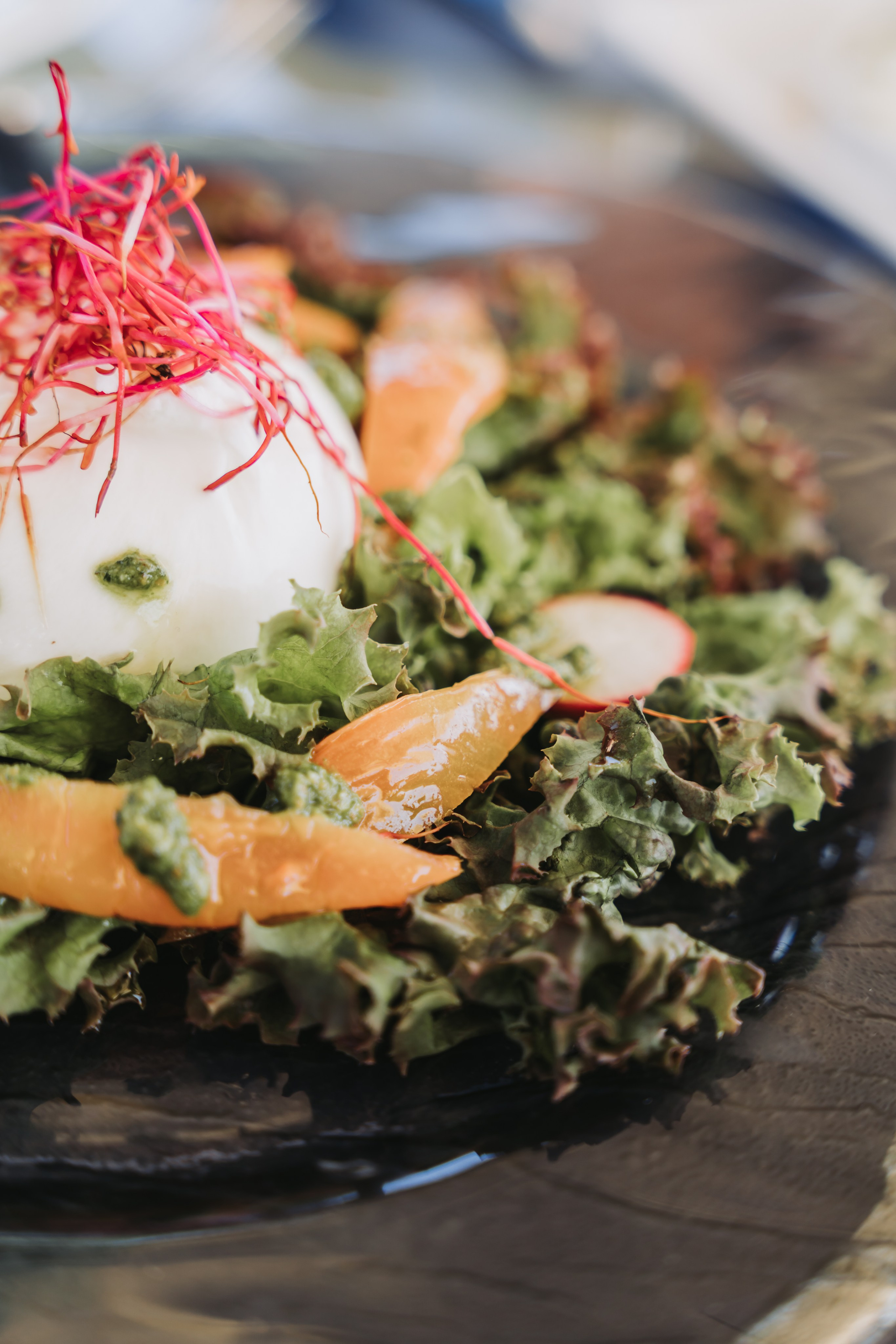 Hotel spiaggia d’oro - Lago di Garda. Fotografia e video