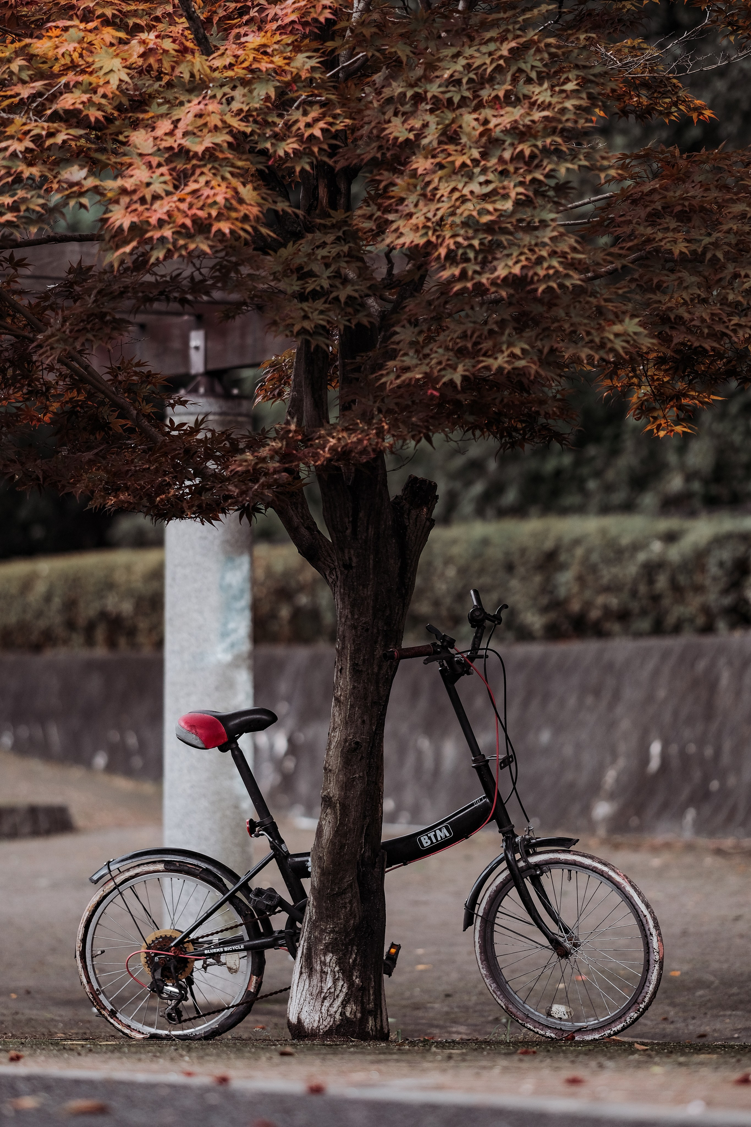 Urban corners. Senya JP