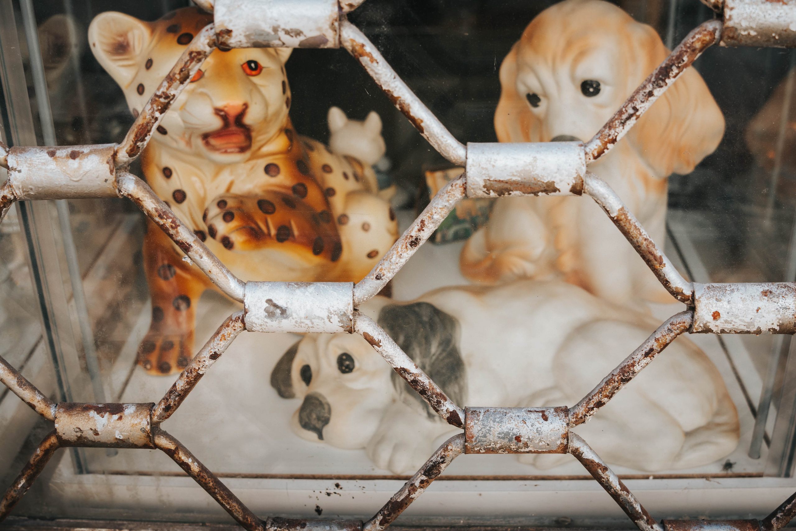 Lisboa, Agosto 2024. Alba del Norte Studio