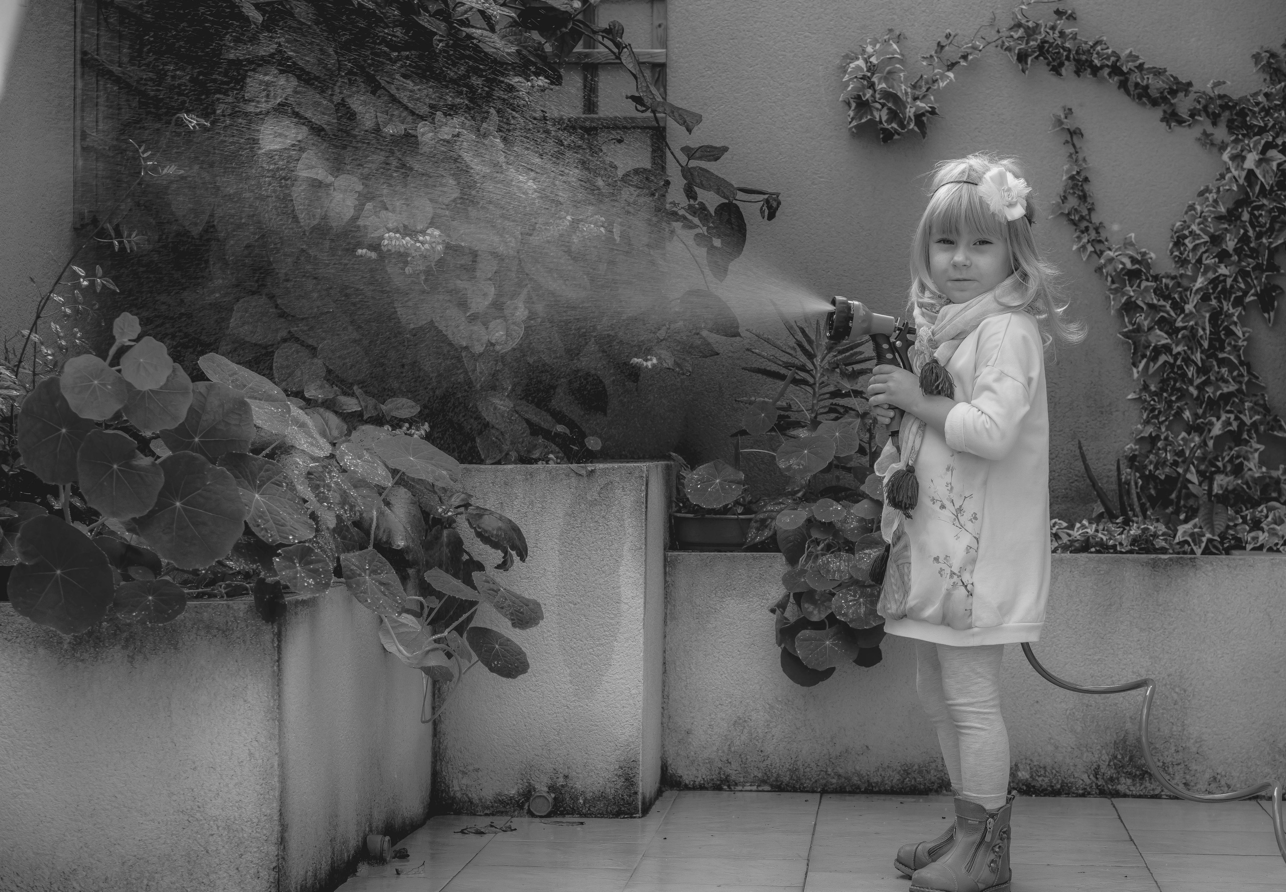 Magic moments. Alba del Norte Studio