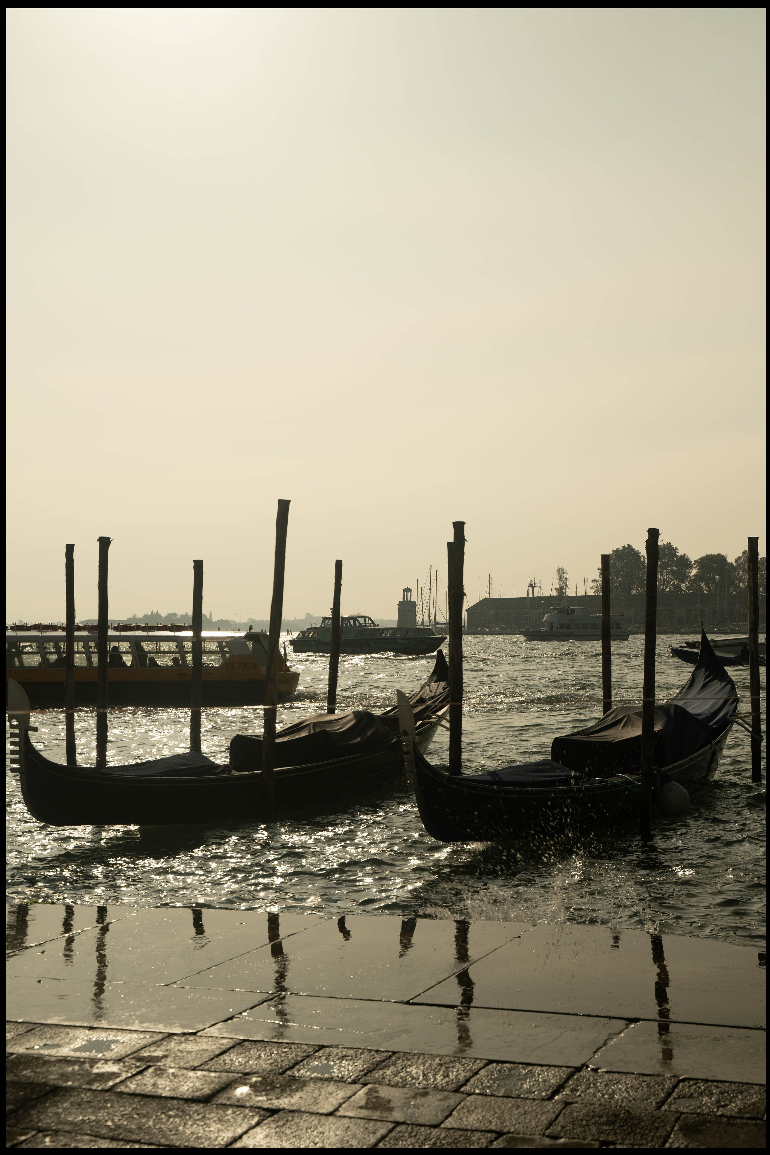 Benetki 2024. Photographer Mariia Bortiakova