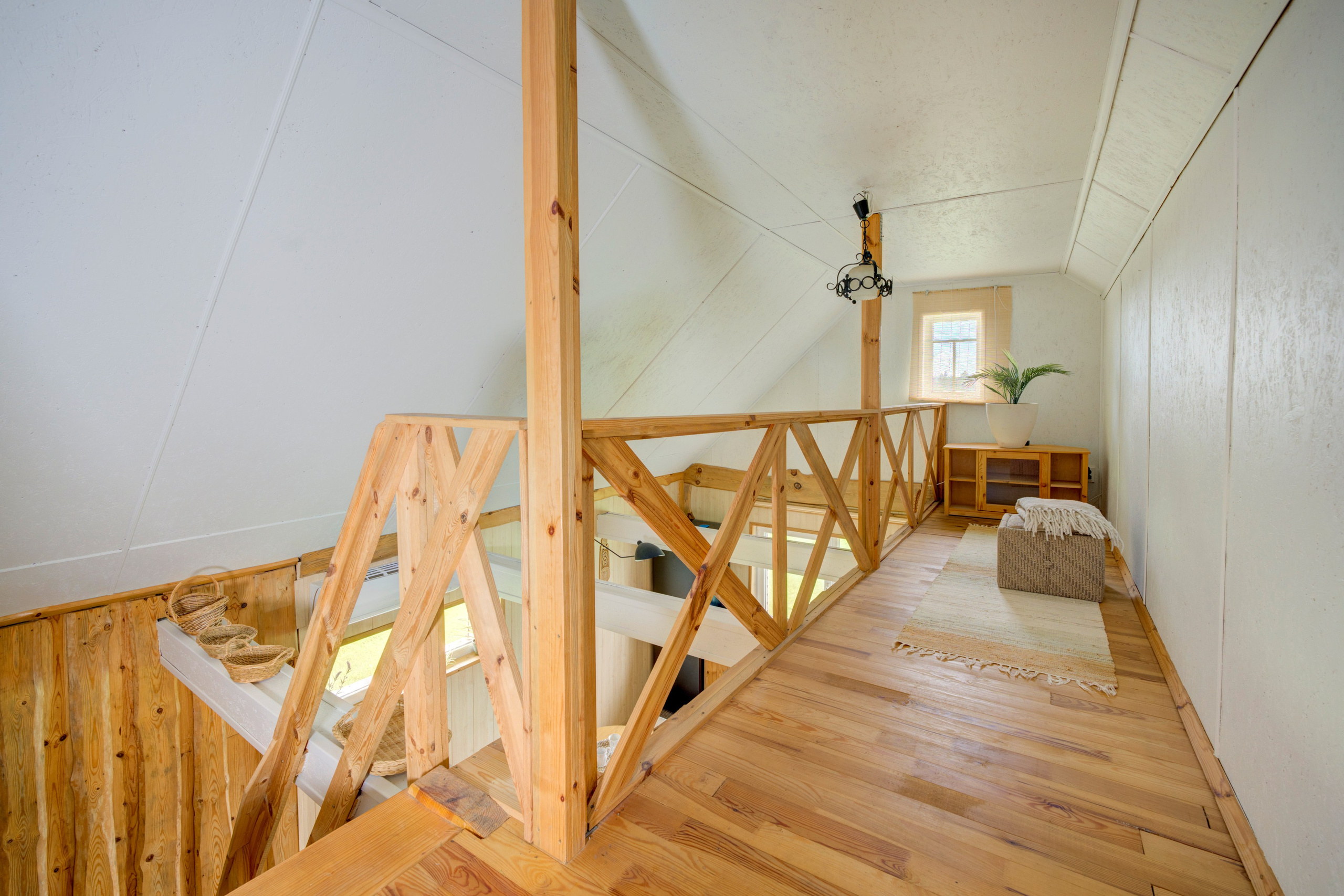 Varėnos raj. Elina Sapiega fotografė Vilniuje