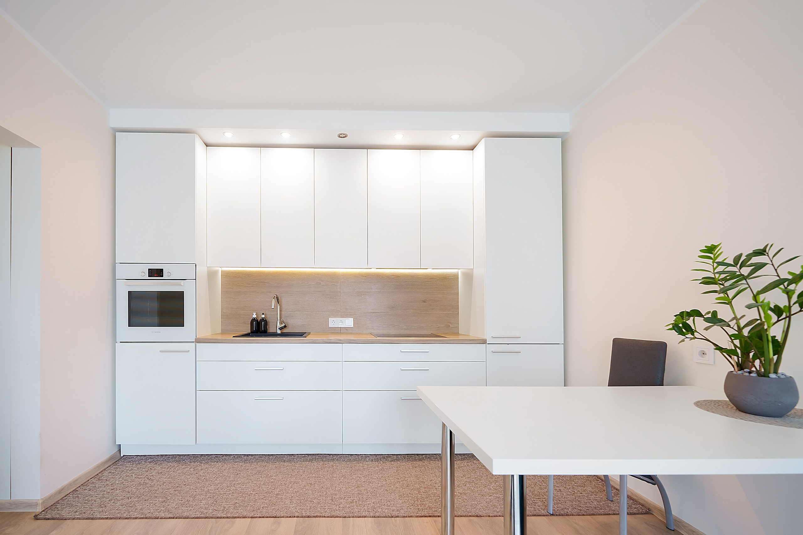 Stanevičiaus g. 64. Elina Sapiega fotografė Vilniuje