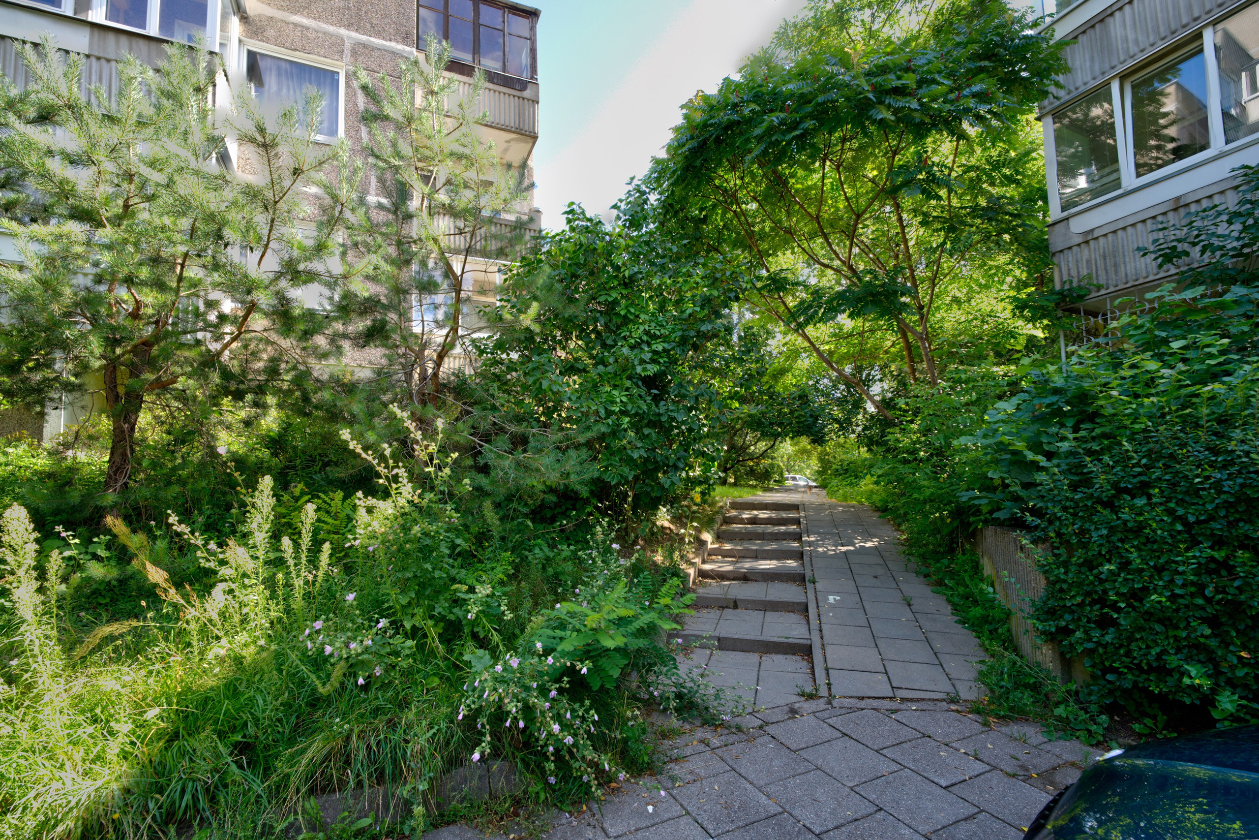 Gabijos g. Elina Sapiega fotografė Vilniuje