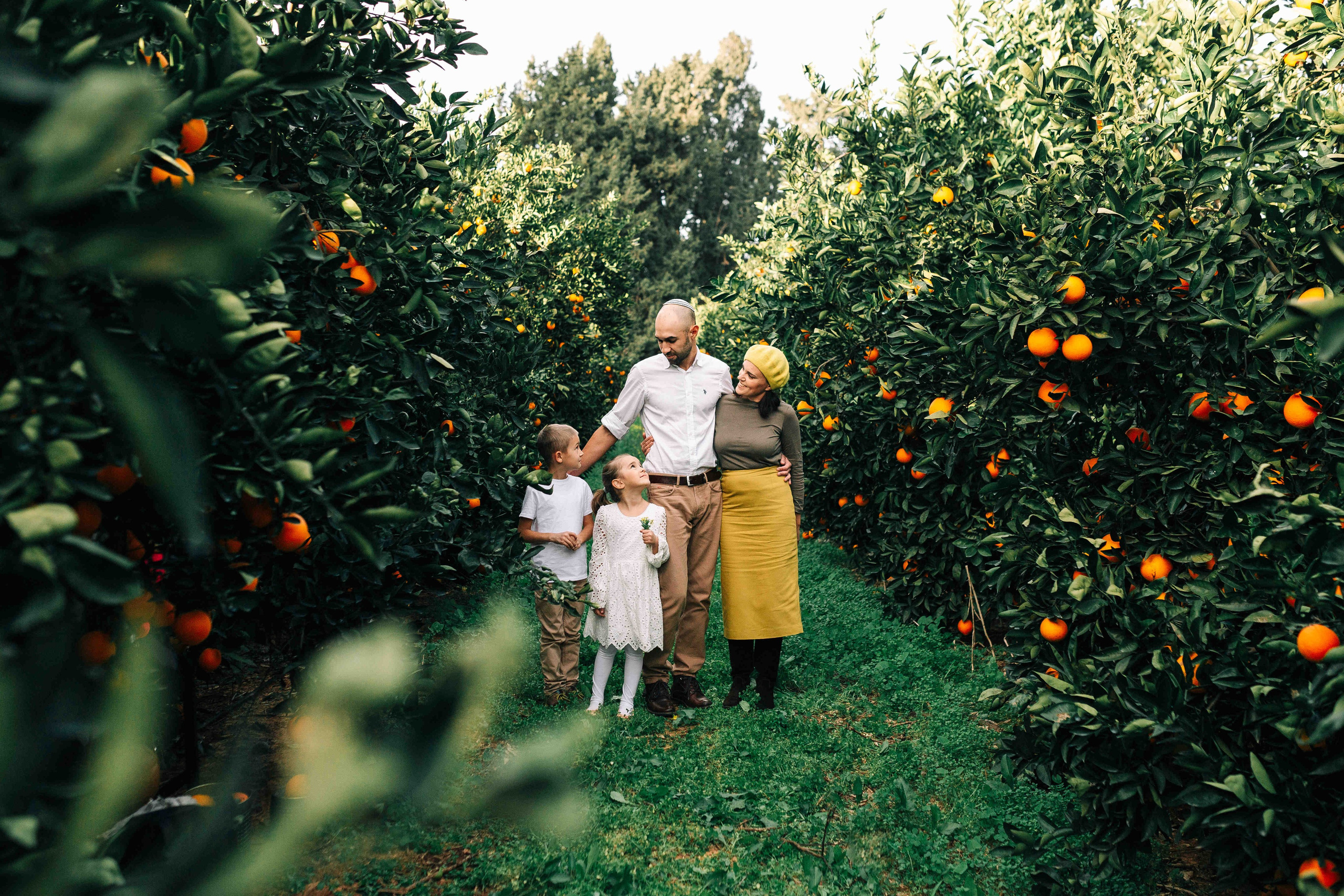 MANDARNINE GARDEN. Https://shi-photo.com/