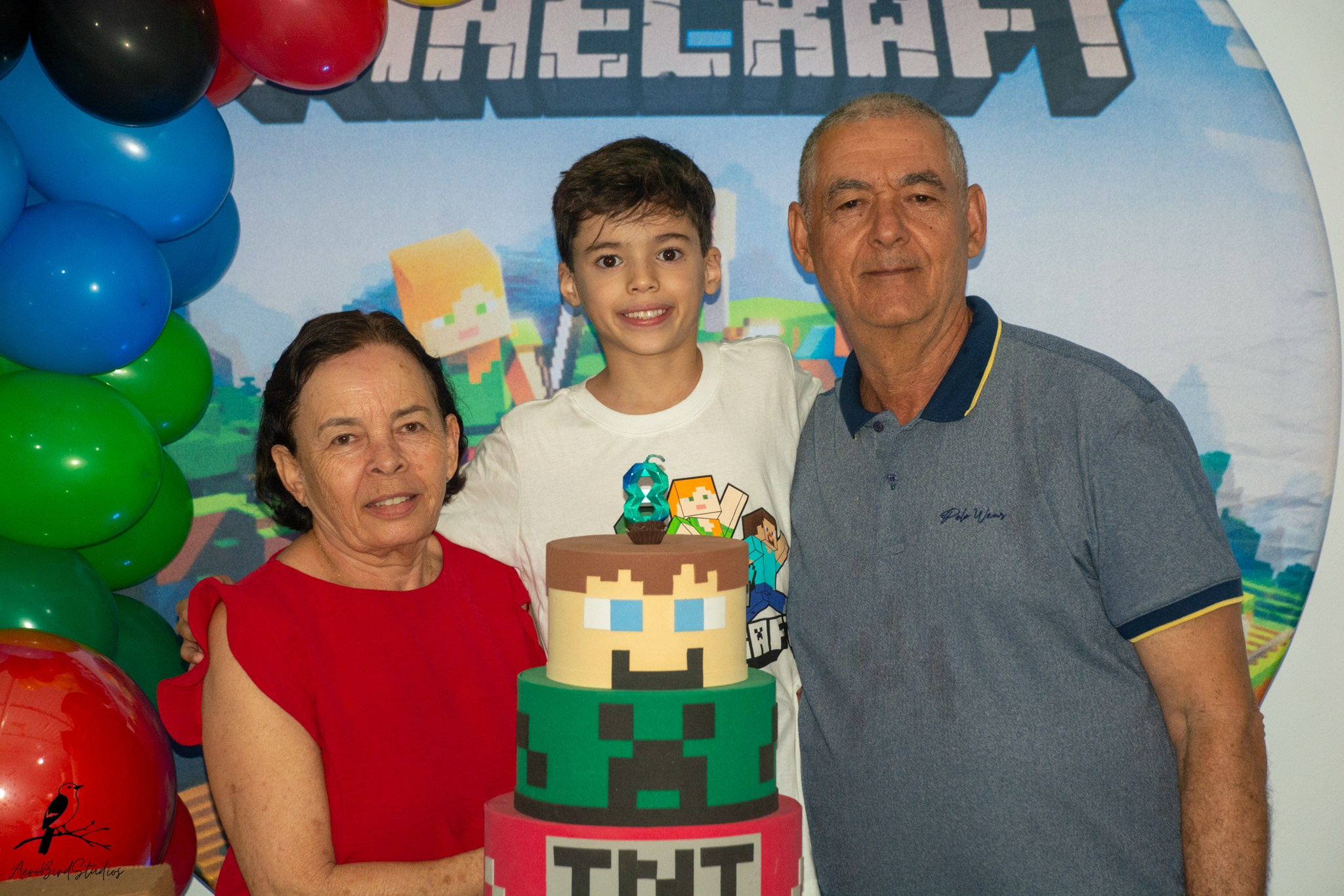 Leonardo 8 ano. AerobirdStudios