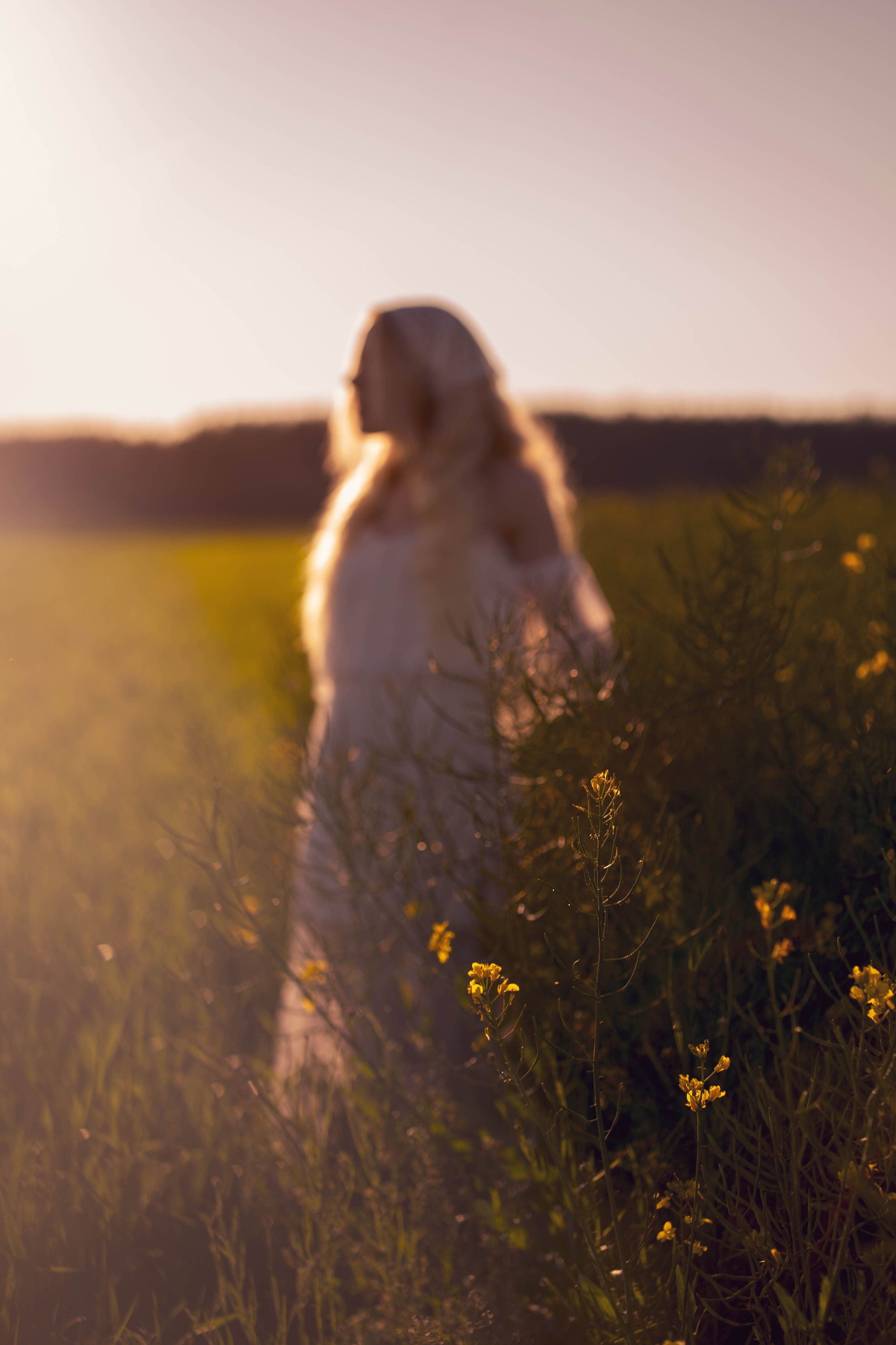 Rapsų laukai su Egle. Fotografija — Olga Bojarin