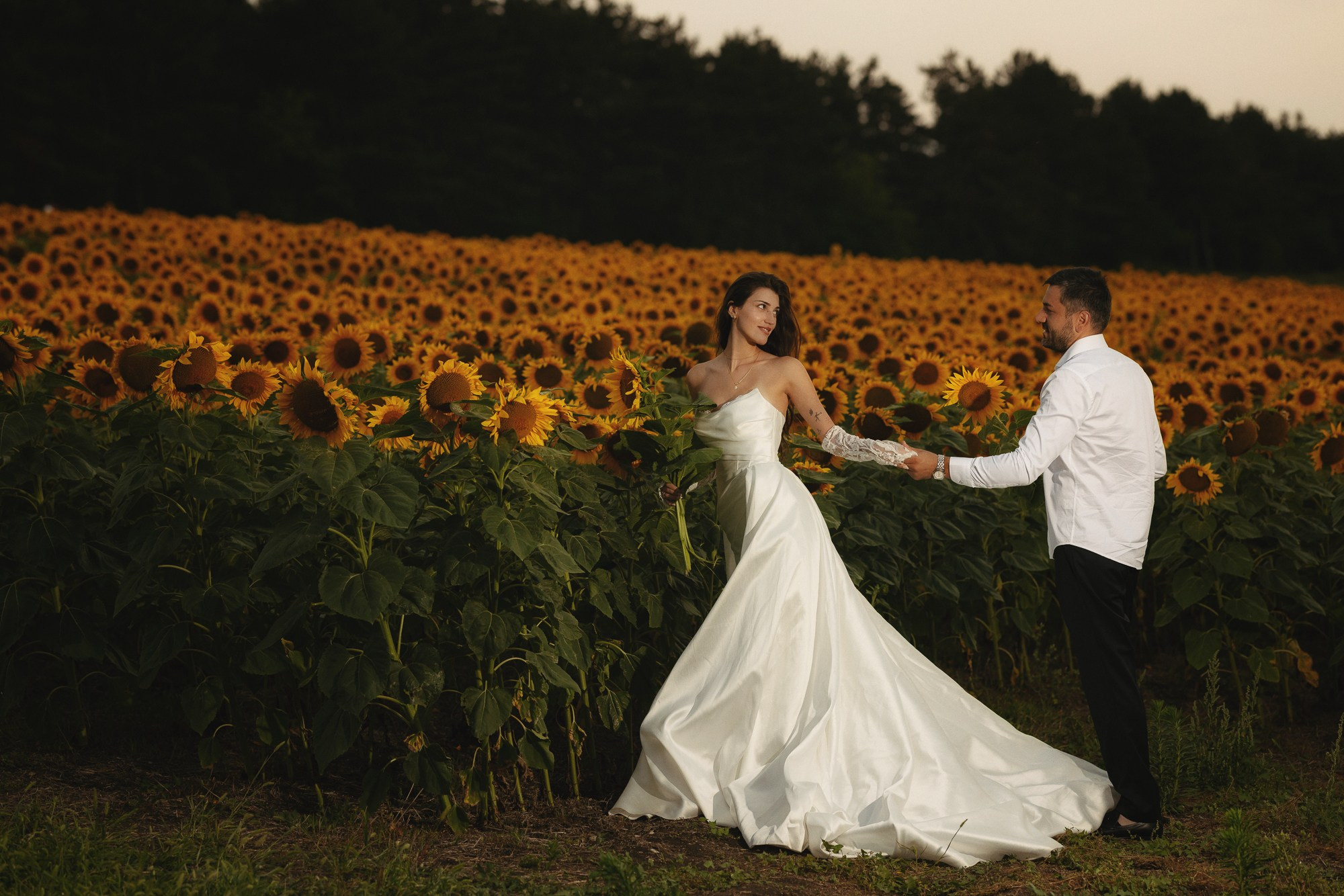 Sunflowers. Lika Gabunia photography lika gabunia
