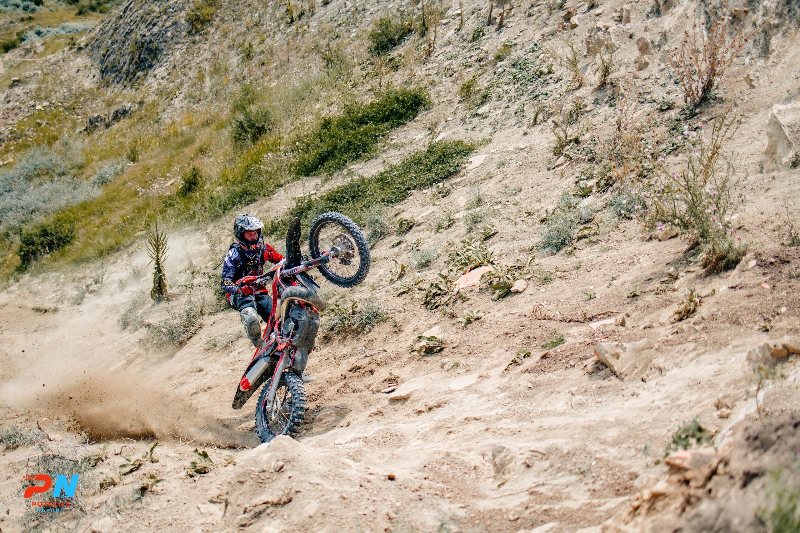 Potecile Naturii 2025. Raw Studio. Fotograful tau de nunta!