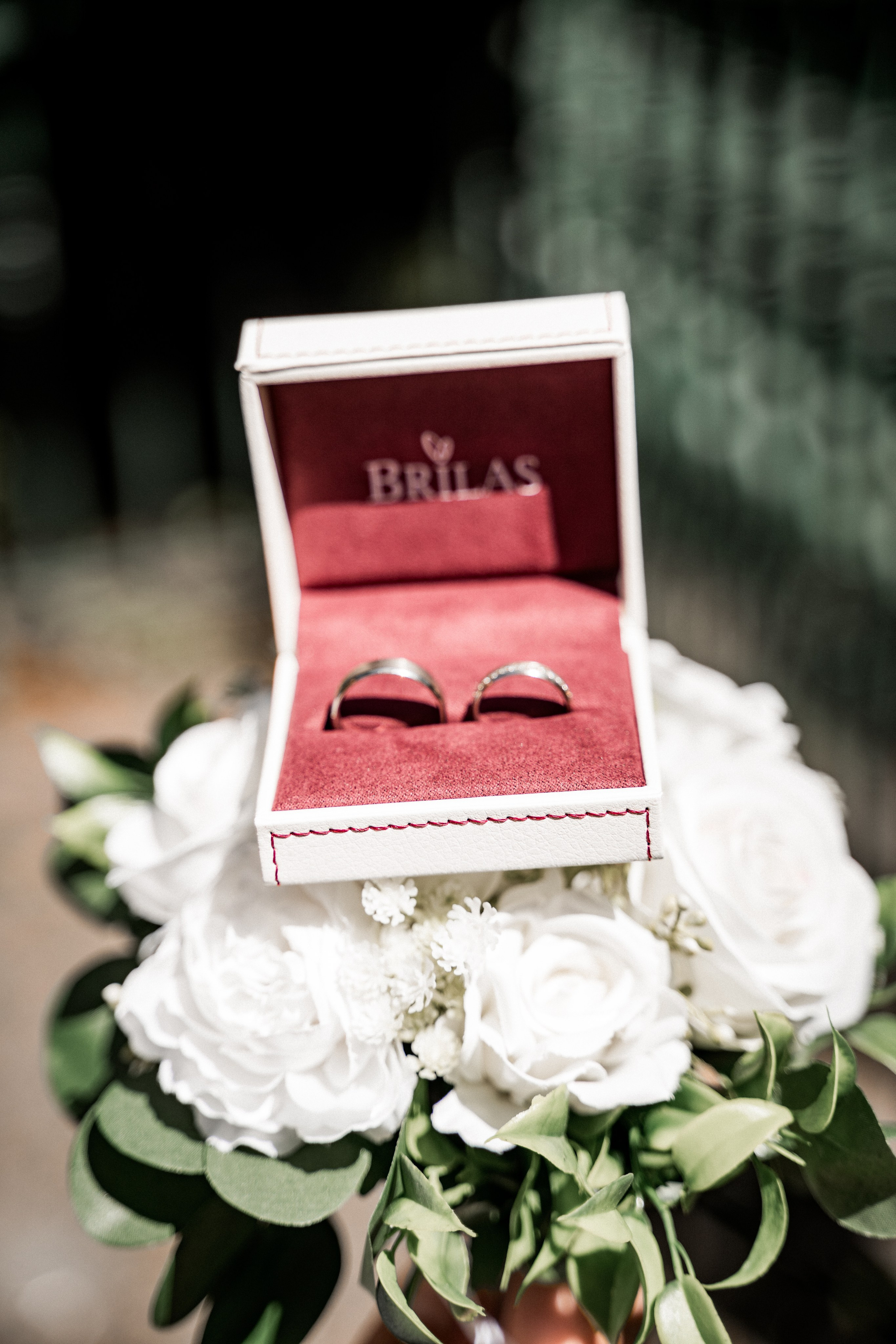 Petra & Jiri. Svatební fotograf a kameraman v Česku a po celé Evropě — Teplice, Ústí nad Labem, Praha, Drážďany