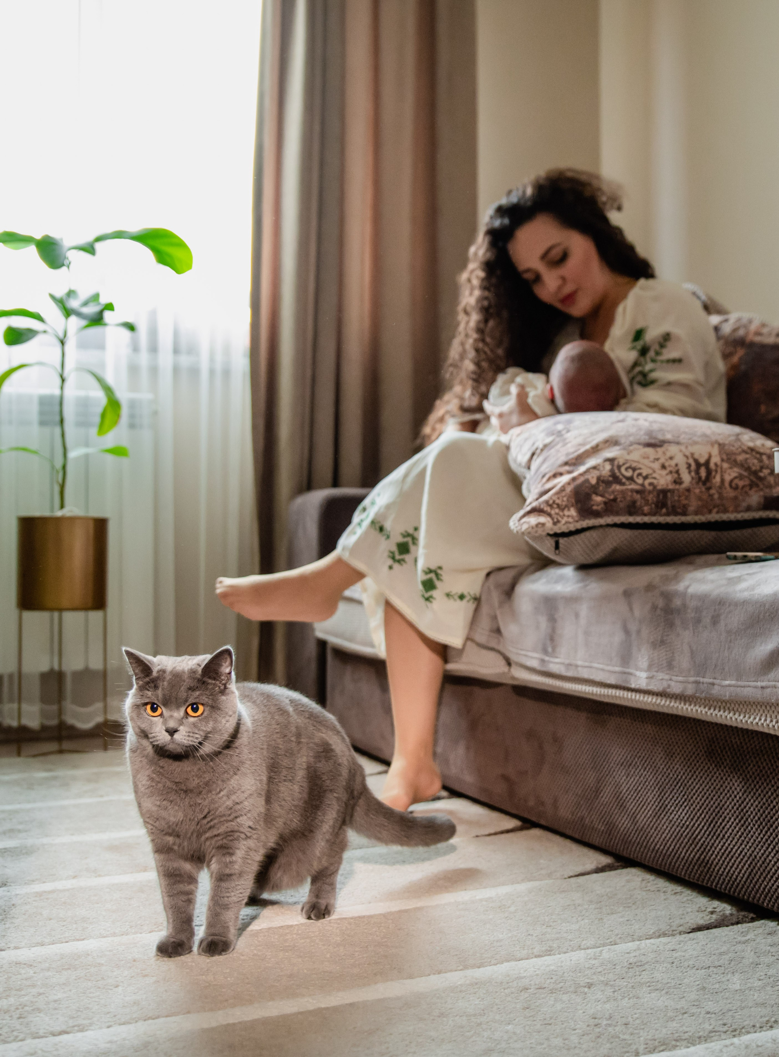 InstaStudio – Fotograf & Videograf Nuntă Suceava|Evenimente România