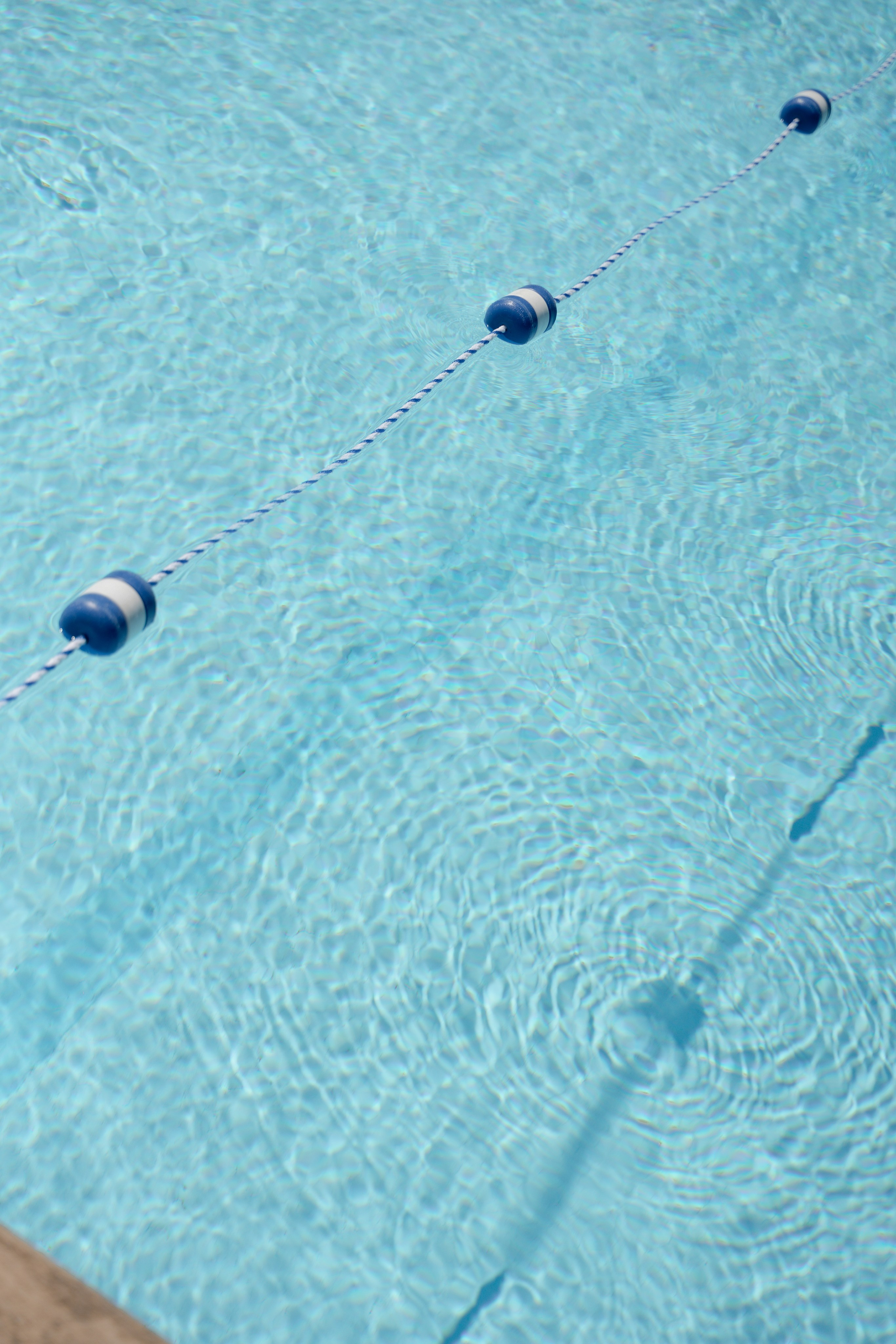 Svetlana and Igor. Anna Krasnova Wedding photographer