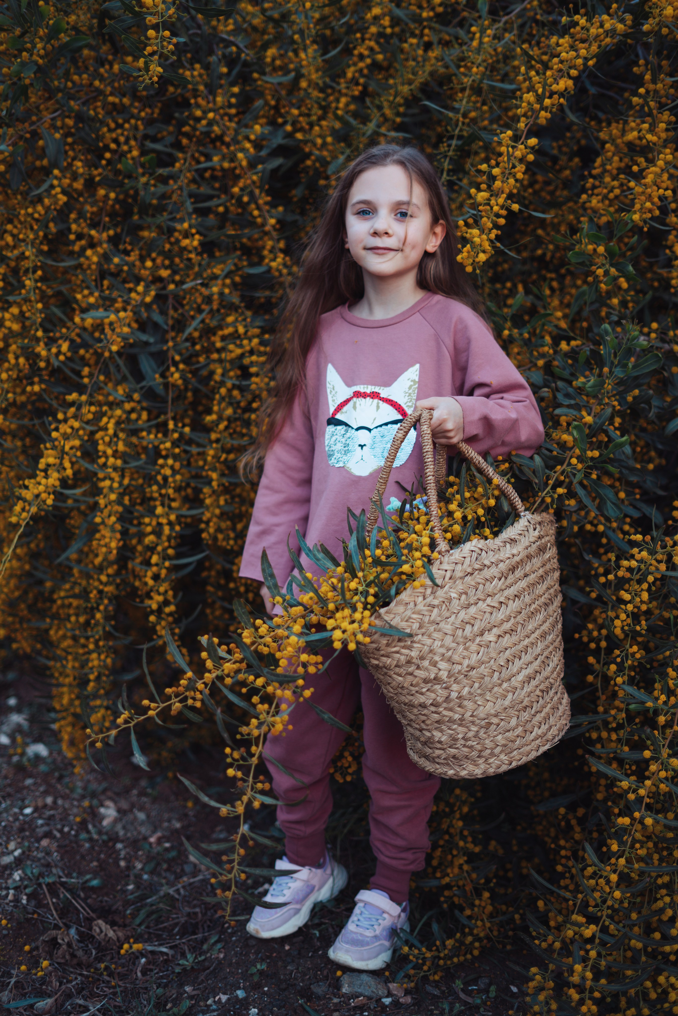 Мимоза. Анастасия Благова — Твой фотограф в Малаге 🇪🇸