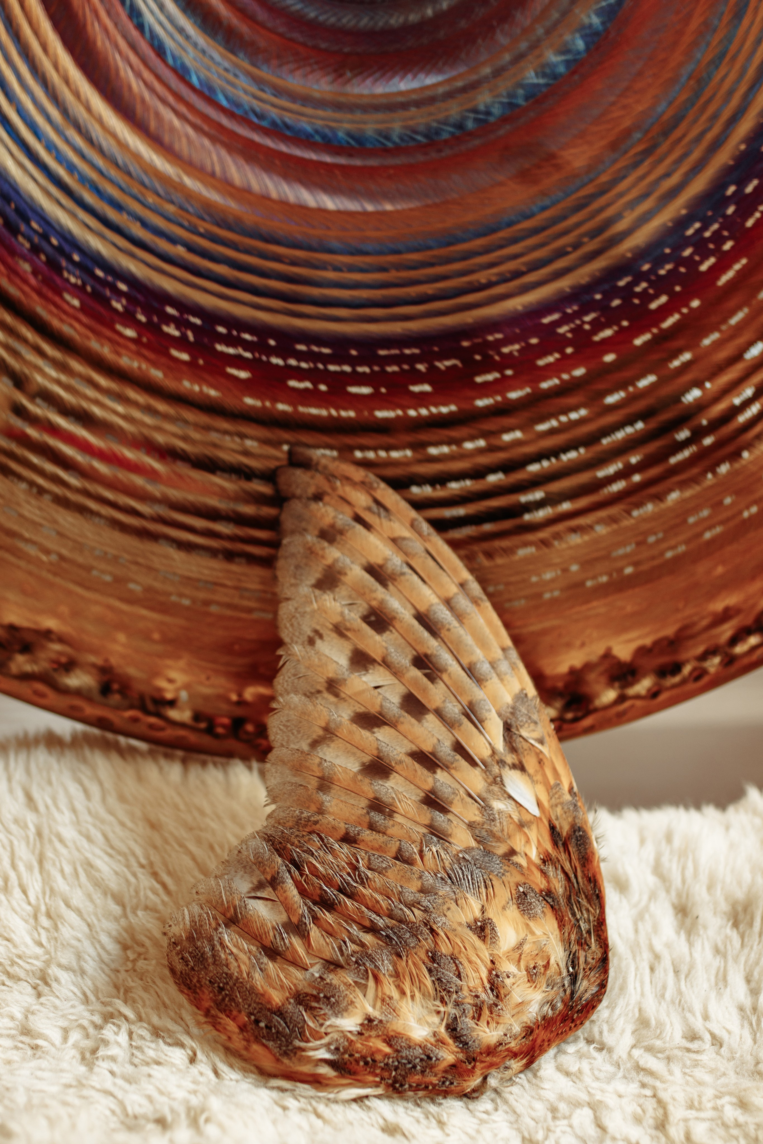 Роман. Съёмка для энергопрактика