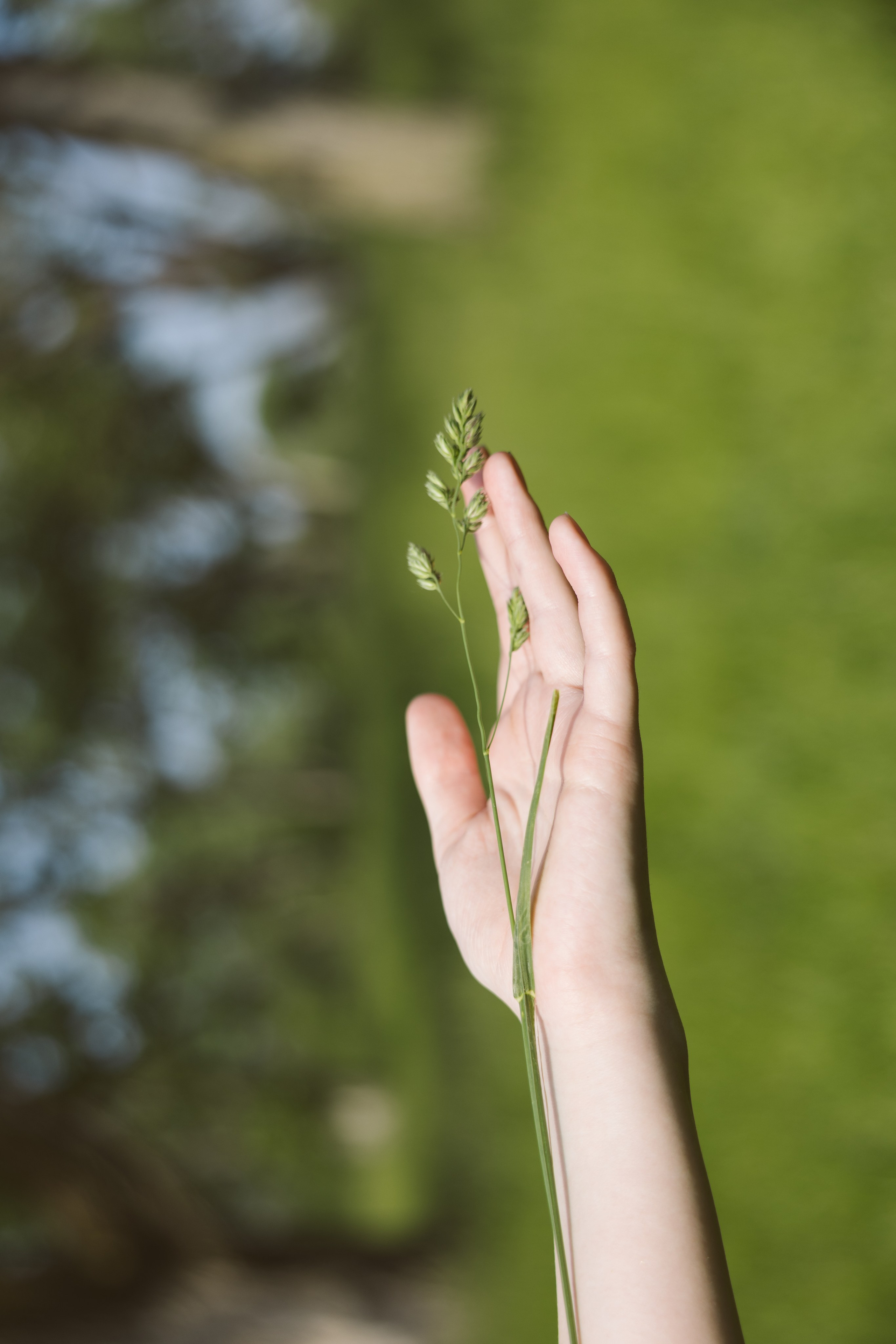 Morning lagoons for Anastasiya. Family Lifestyle Photography