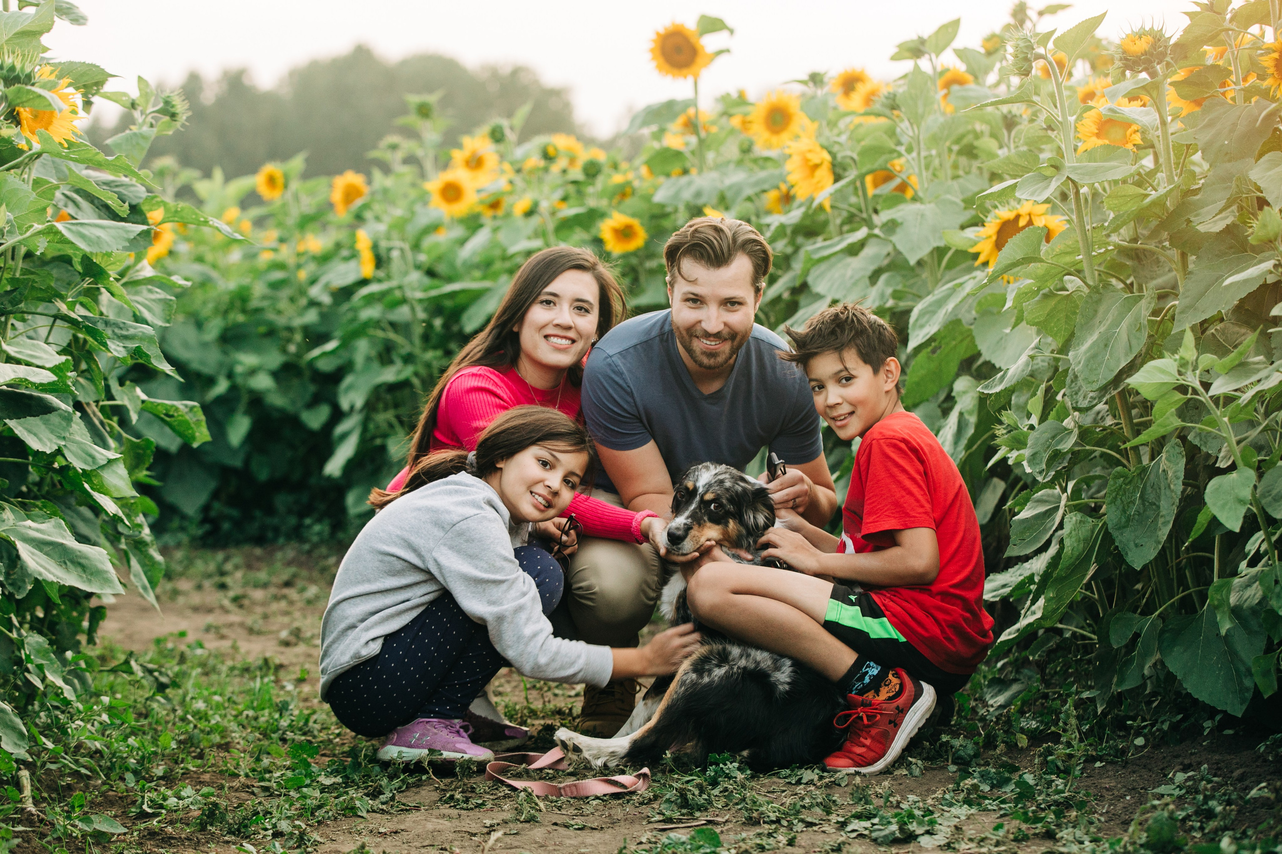 Bowden Sunmaze — Ana Pau & Johnathan. Ching Li Photography