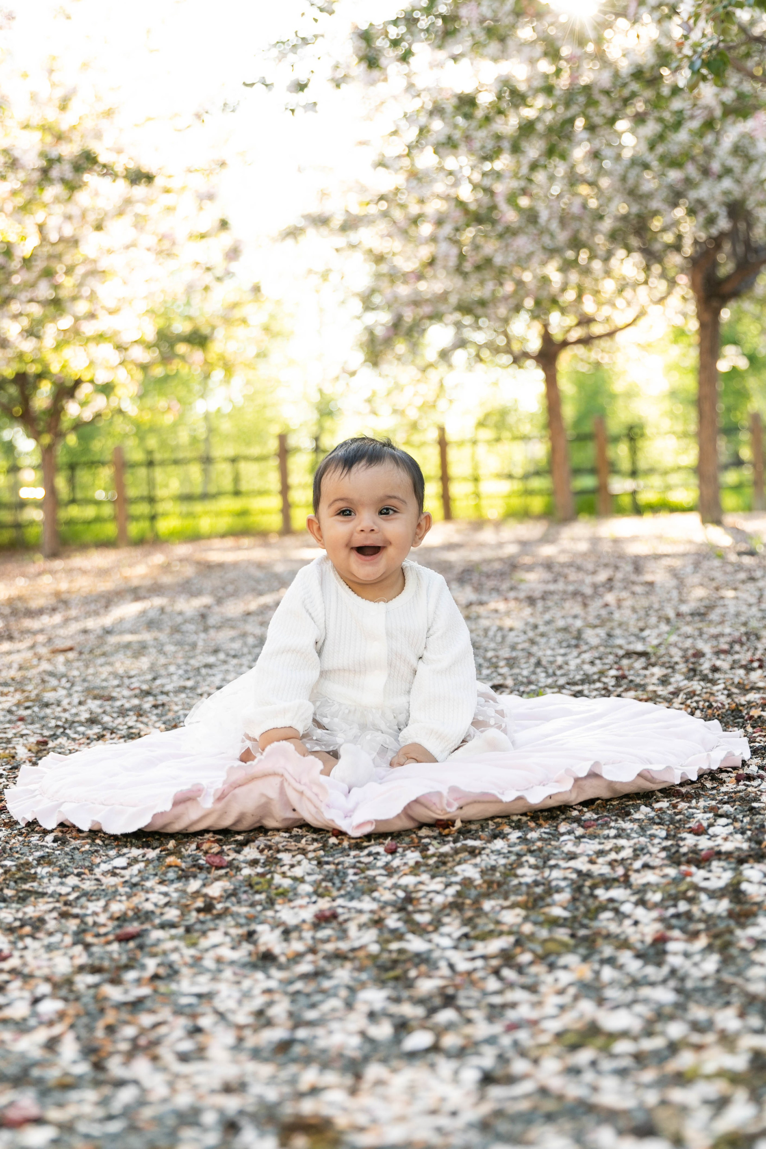 Cherry Blossom — Nabeel Family. Ching Li Photography