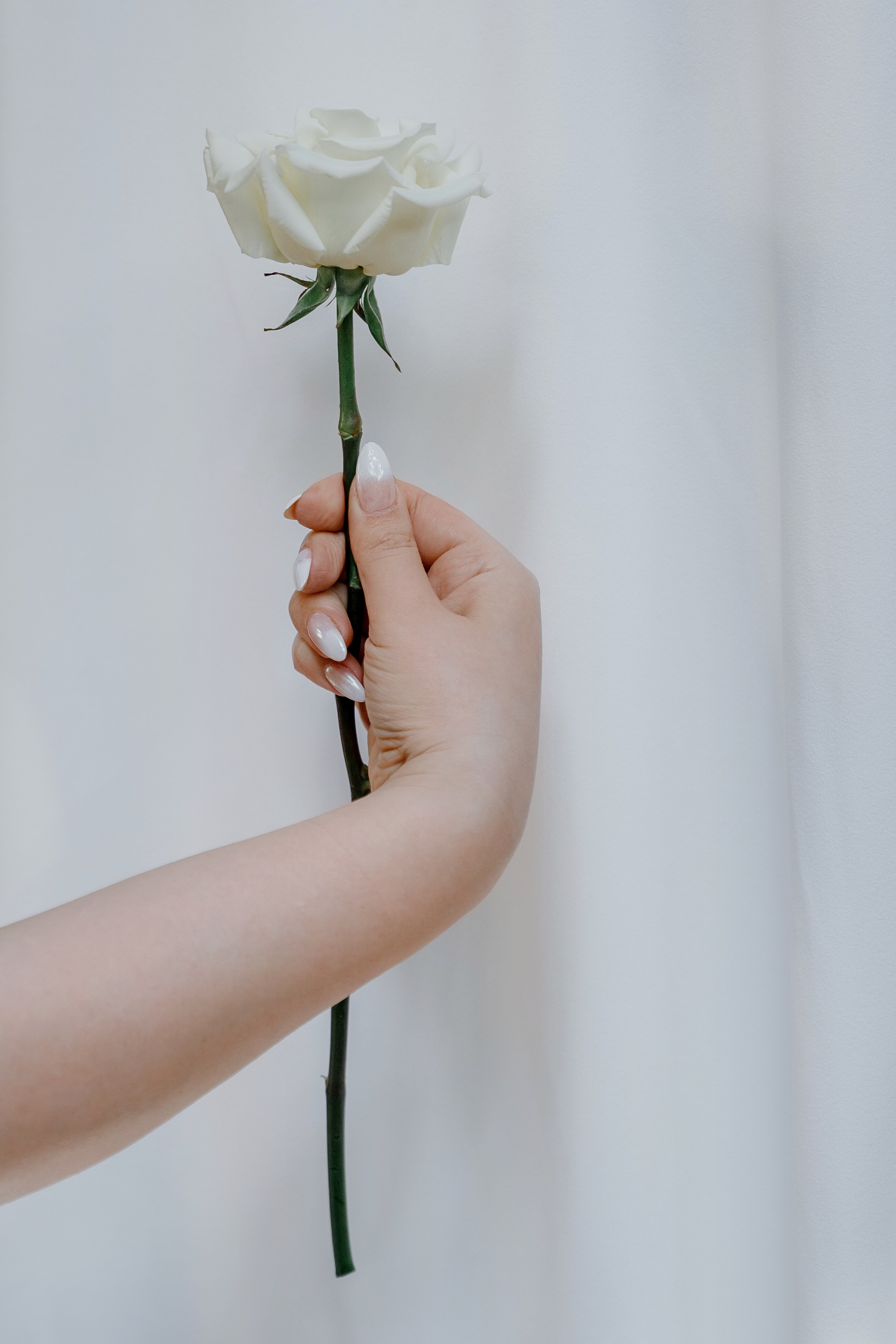 Julieta and Emmanuel. Orange County Wedding Photographer & Videographer | Candid & Timeless Wedding Photo + Video | Italiantsev