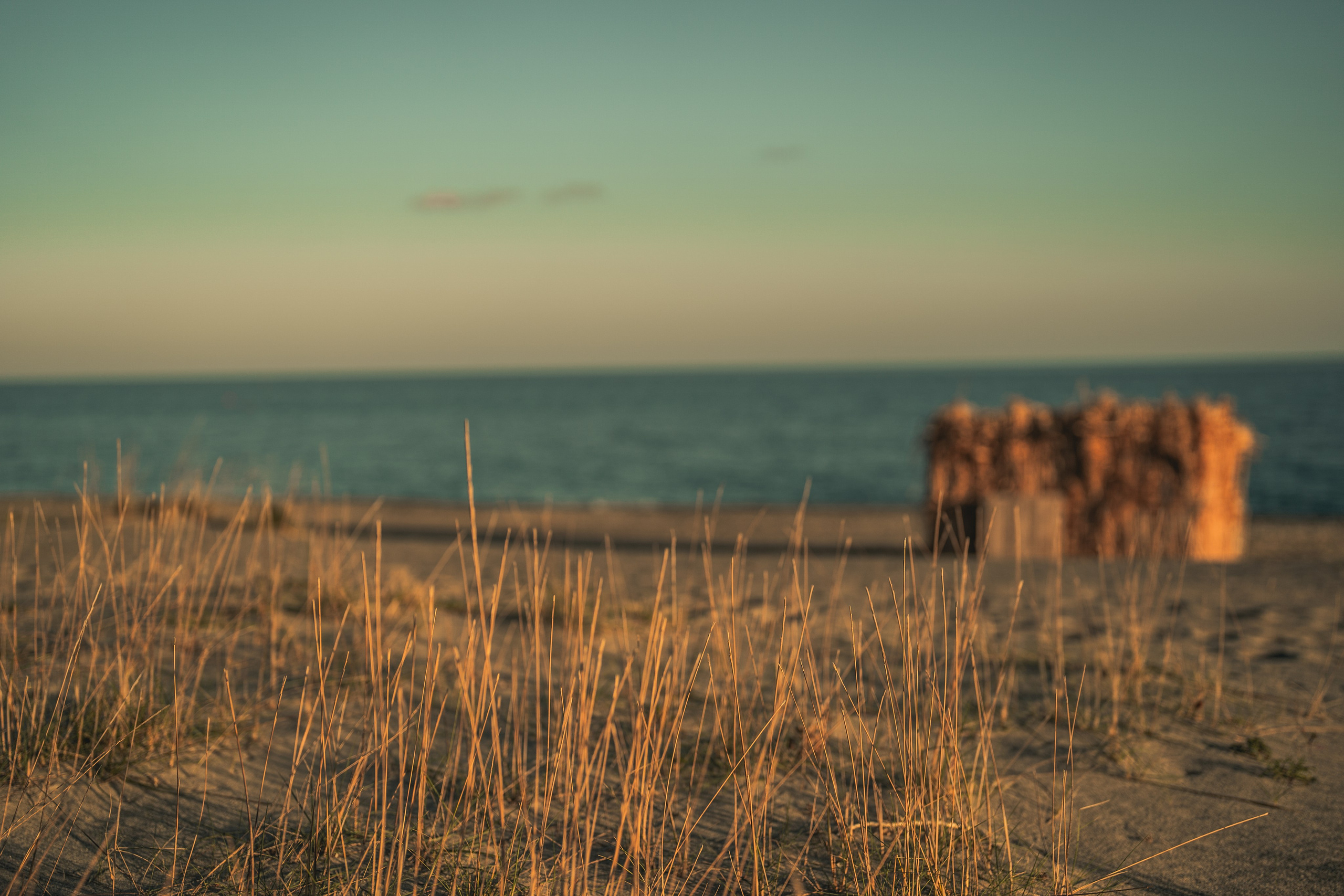 Naturalistica. Frank Prochilo Photography