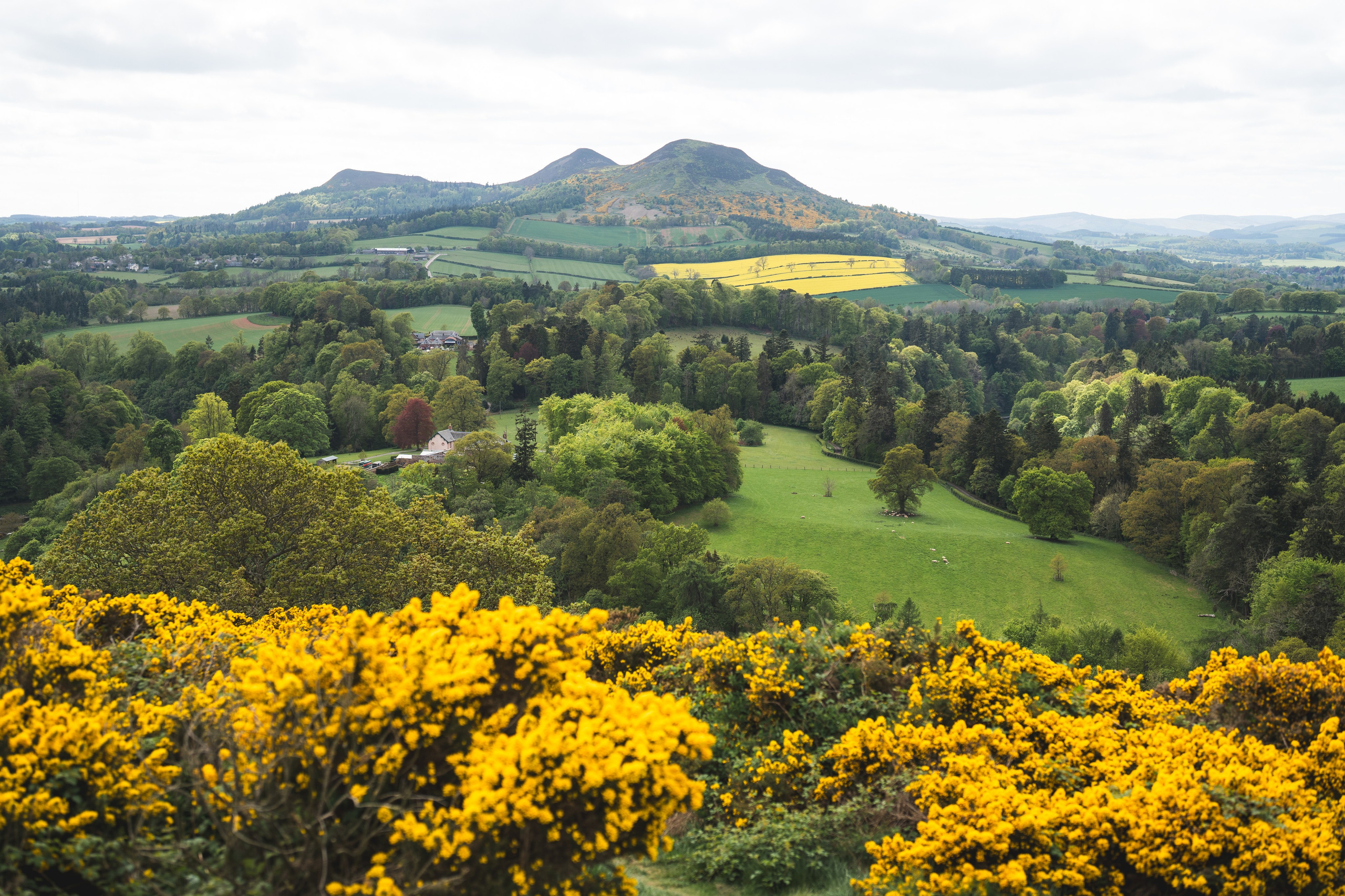 Туры. Photographer & Tour Guide Based in Scotland