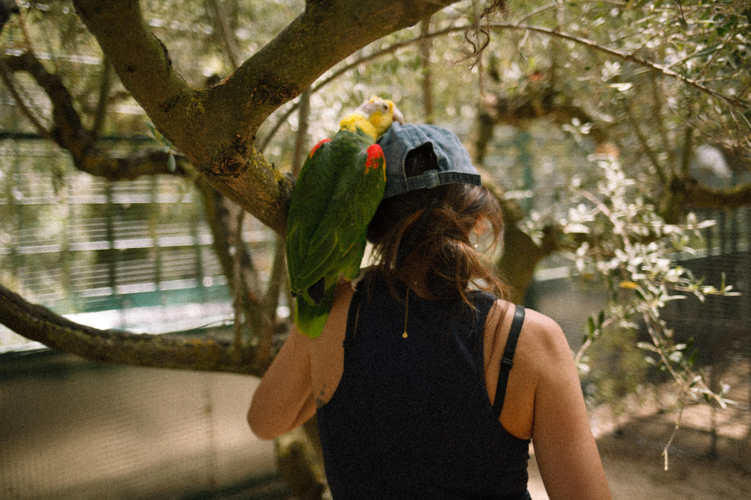 BIRDS. Marina Kálcheva – Photographer & Visual Artist in Barcelona