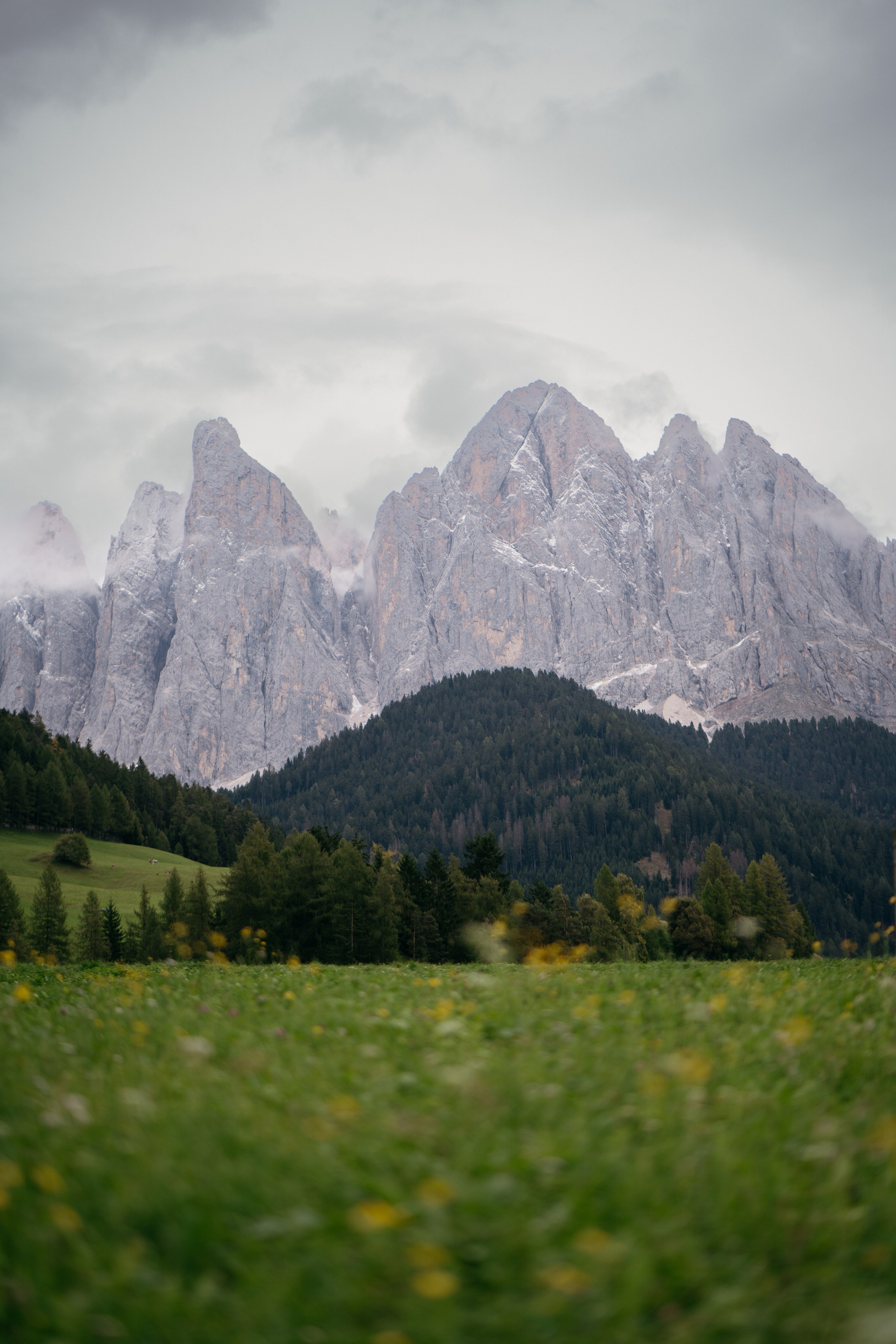 N & A (Dolomites, Italy). Marriage Proposal Photographer in Verona & Lake Garda | Diana Fedrigo