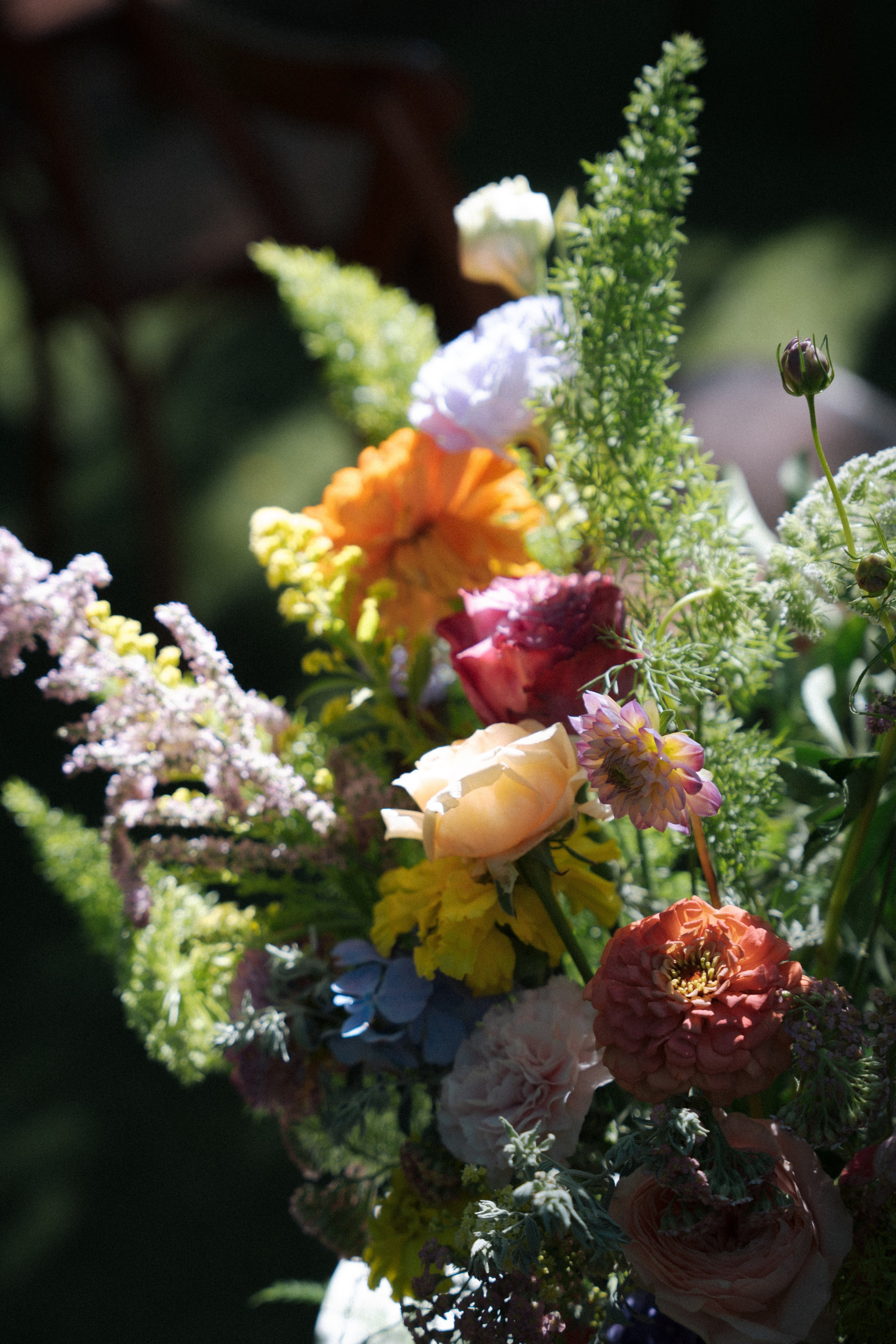 Alexa és norbi album. Csilla visuals