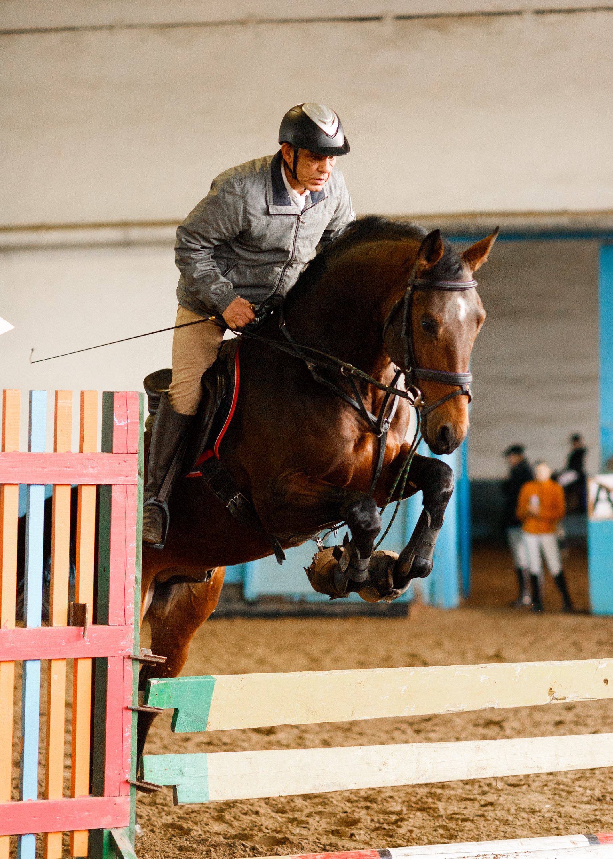 Winter show jumping in «Progress». Kaja | fotograf we Wrocławiu | ludzie i psy