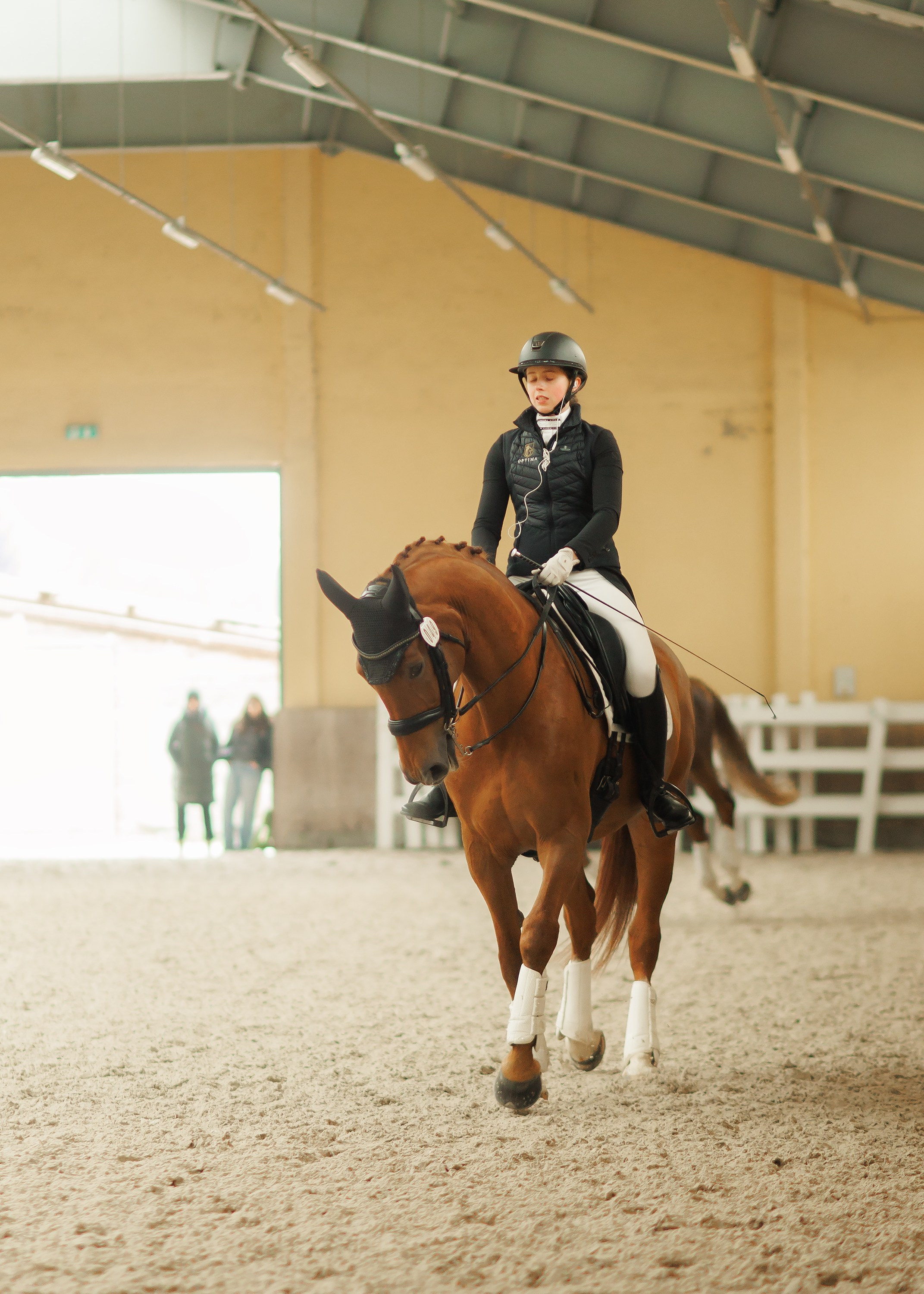 Fotografia koni Wrocław \ ujeżdżenie, Partynice. Kaja | fotograf we Wrocławiu | ludzie i psy