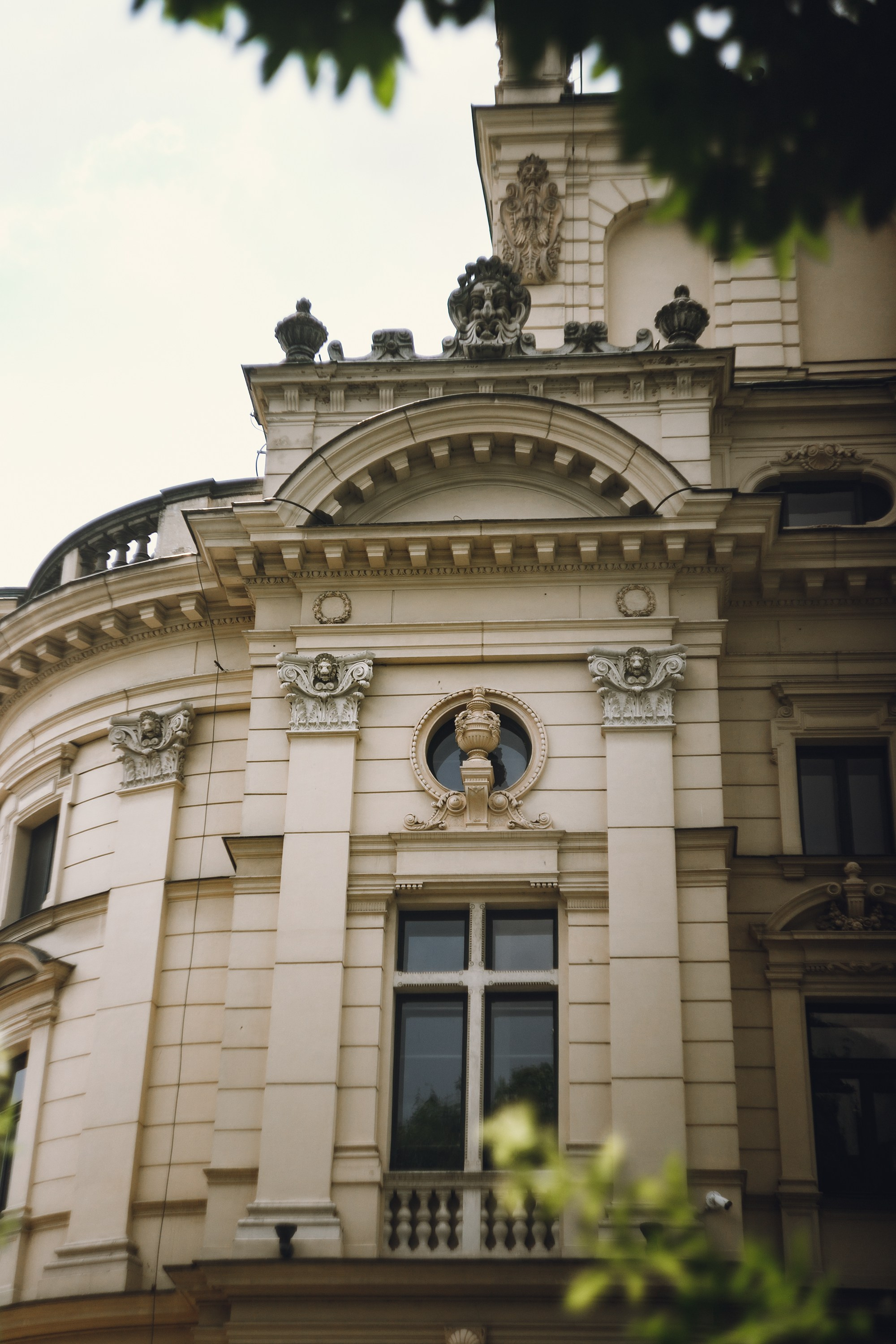 Krakow. Kaja | fotograf psów we Wrocławiu