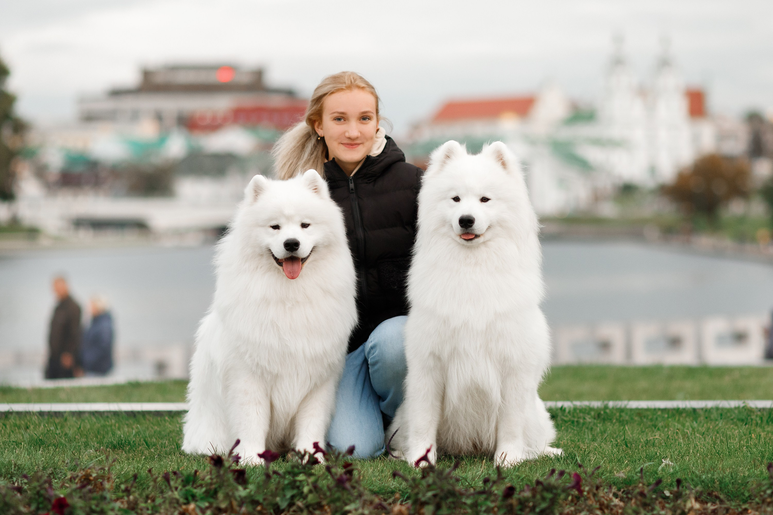 Dog shows | the best ones. Kaja | fotograf psów we Wrocławiu
