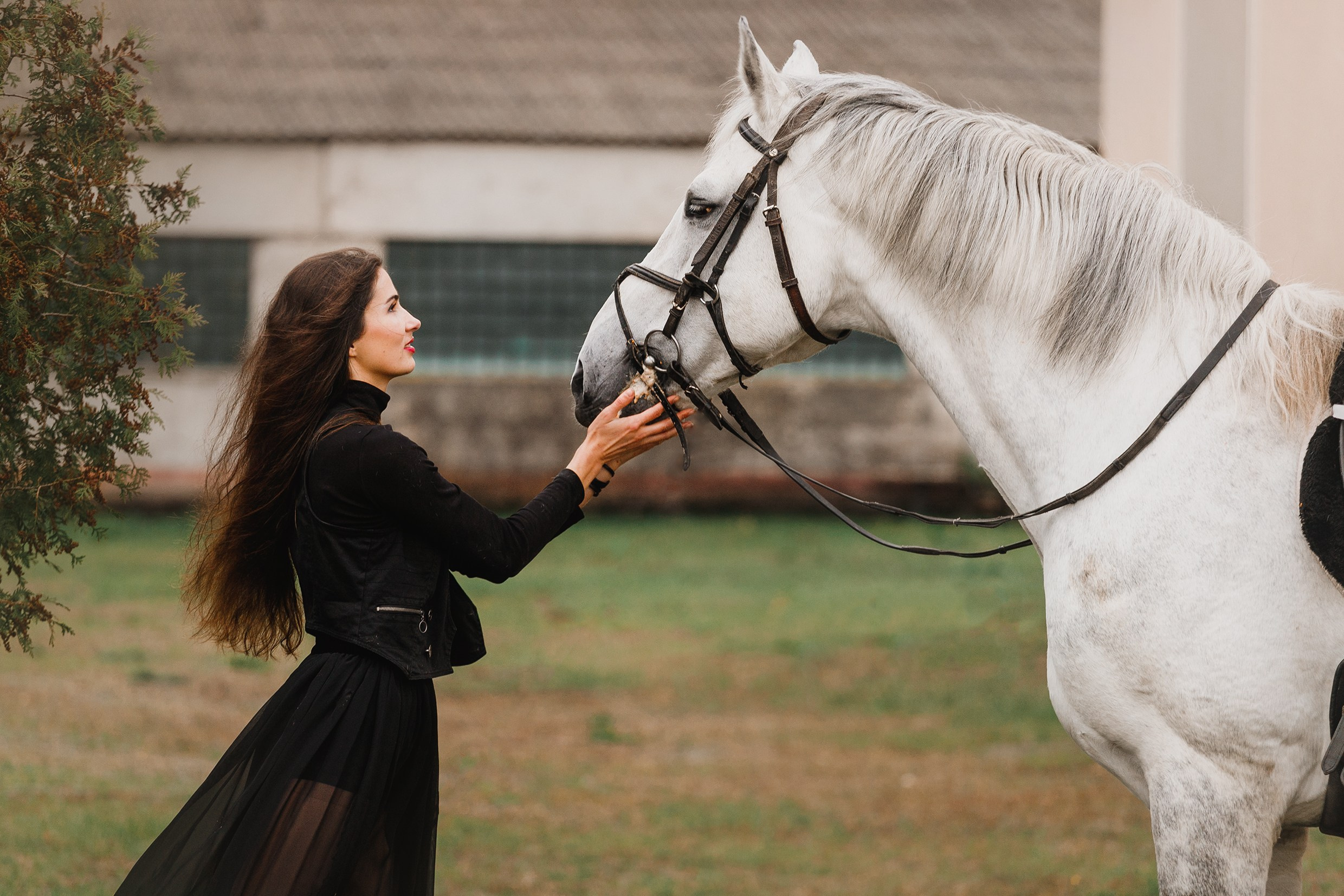 Anna & Crusador. Kaja | fotograf psów we Wrocławiu