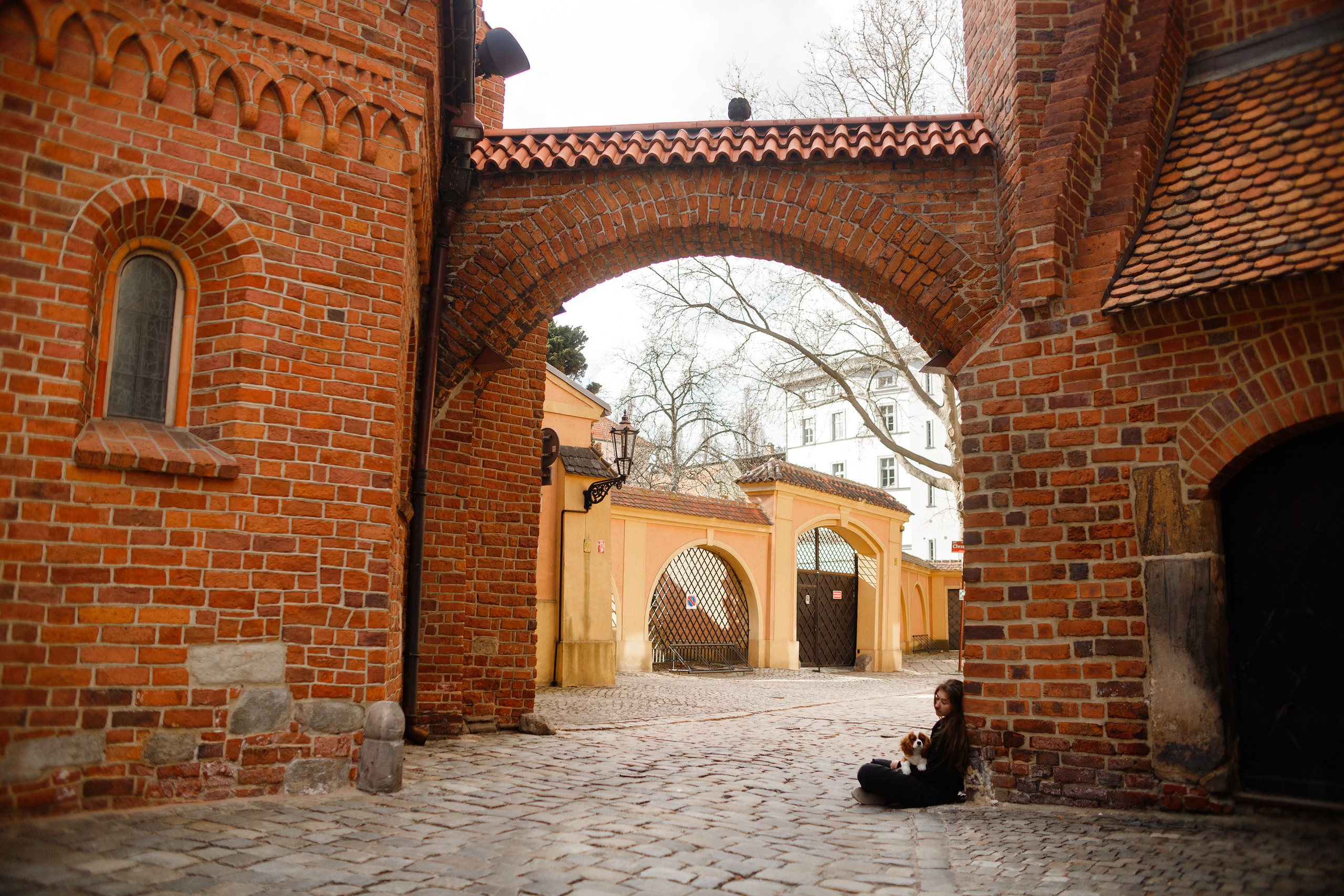 Uliana i Franklin. Kaja | fotograf we Wrocławiu | ludzie i psy