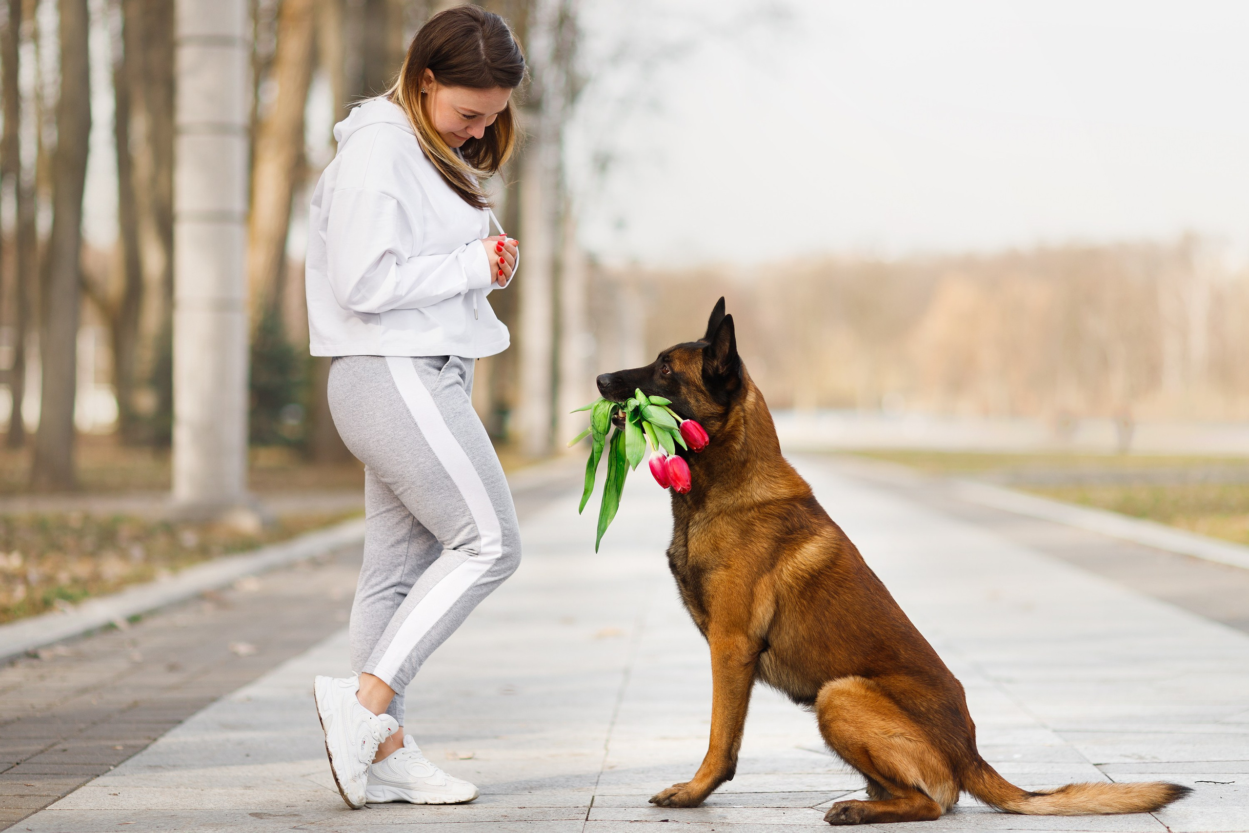 Autumn photo day for dog handler. Kaja | fotograf we Wrocławiu | ludzie i psy