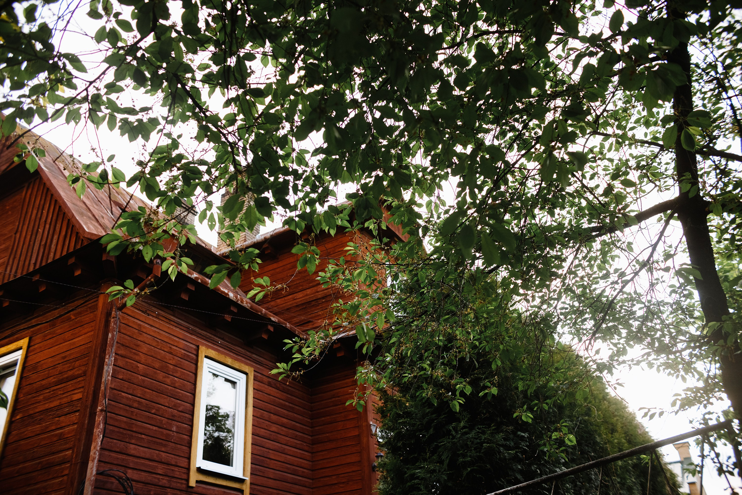 Grodno. Kaja | fotograf we Wrocławiu | ludzie i psy