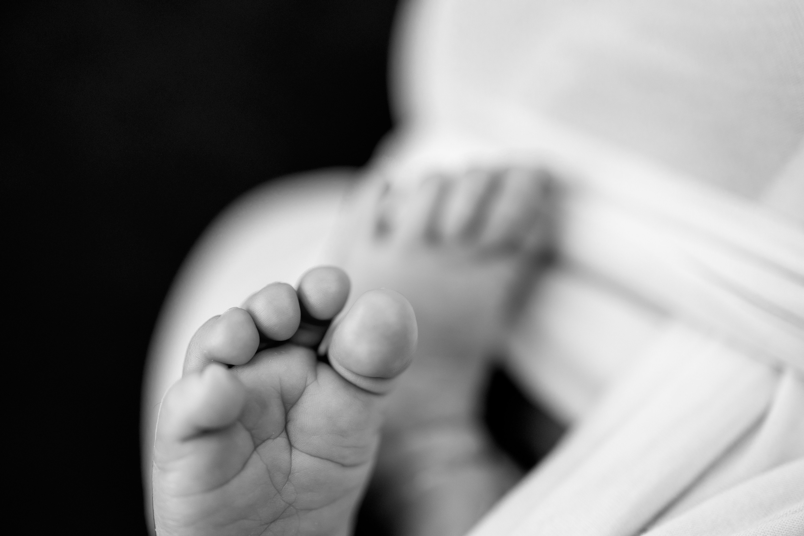 Newborn. Anaeliseevaphoto.com