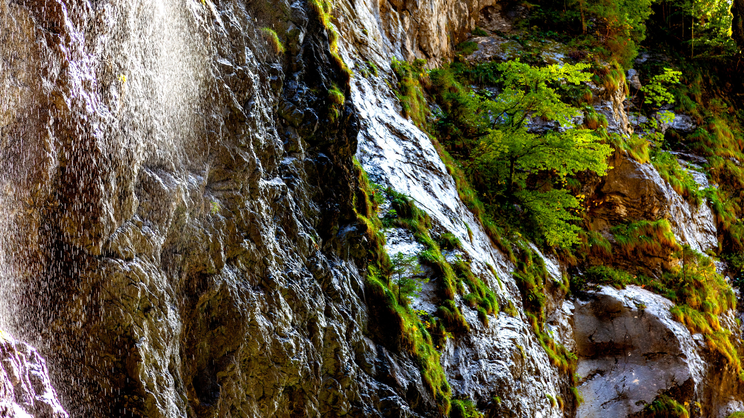 188.Partnachklamm Gorge.26.9.2024. Путешествия в формате 360......