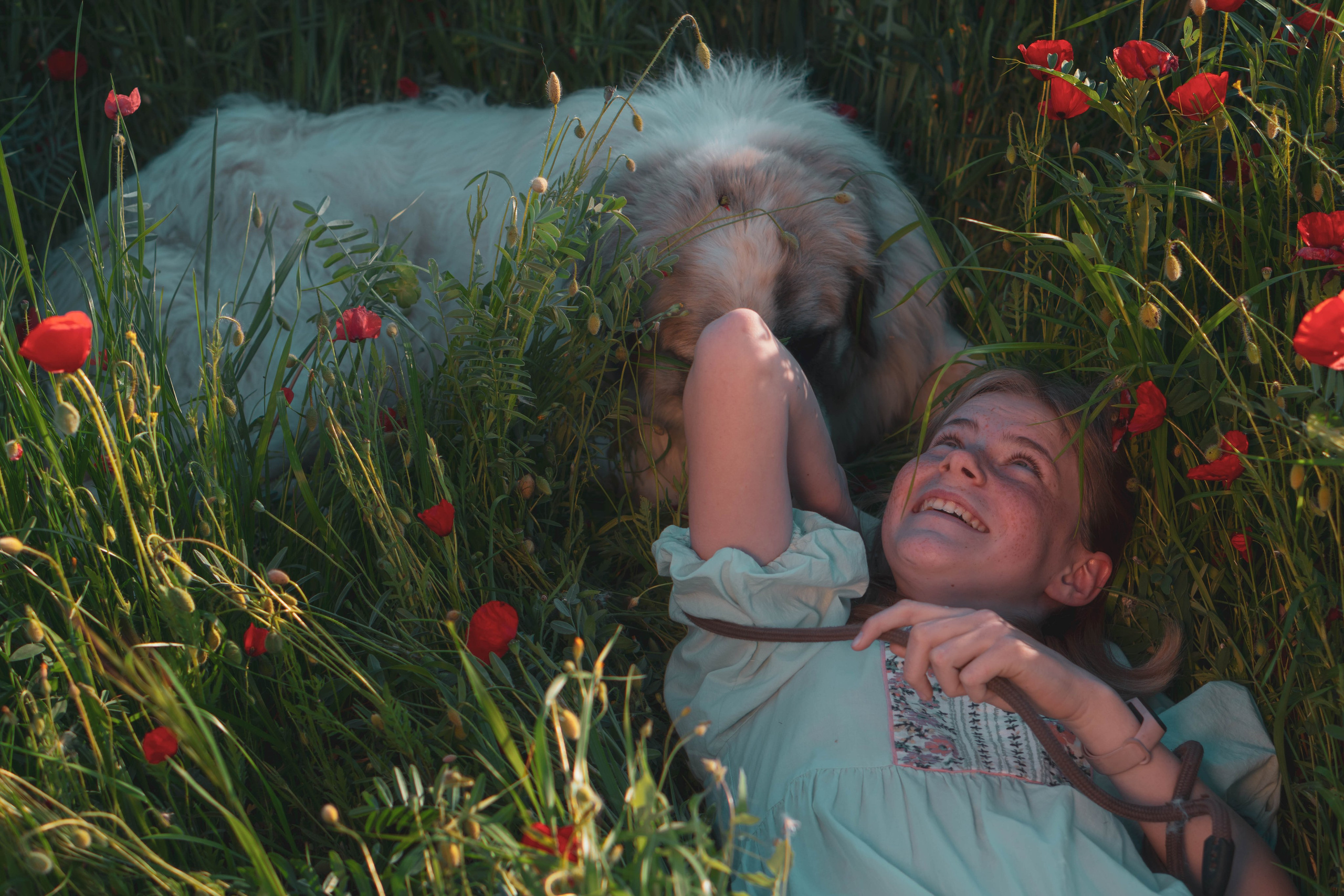 Agnia & Amapolas. Alba del Norte Studio