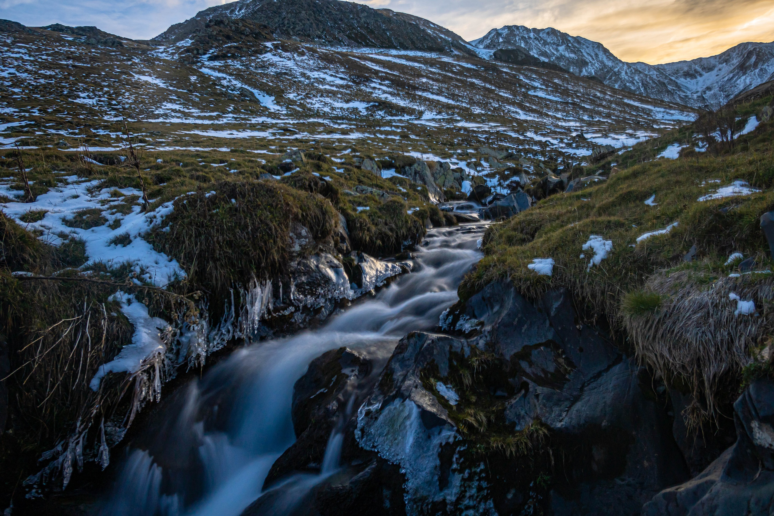 Filia. Alba del Norte Studio